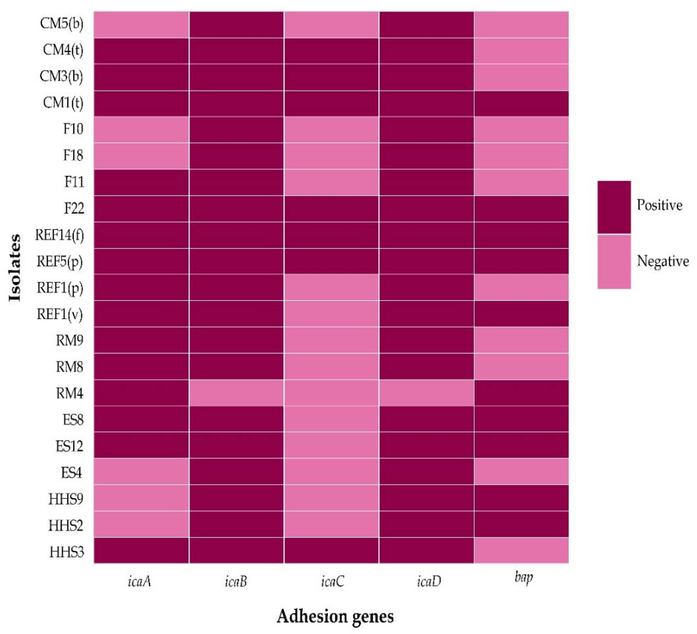Biology 11 00949 g003