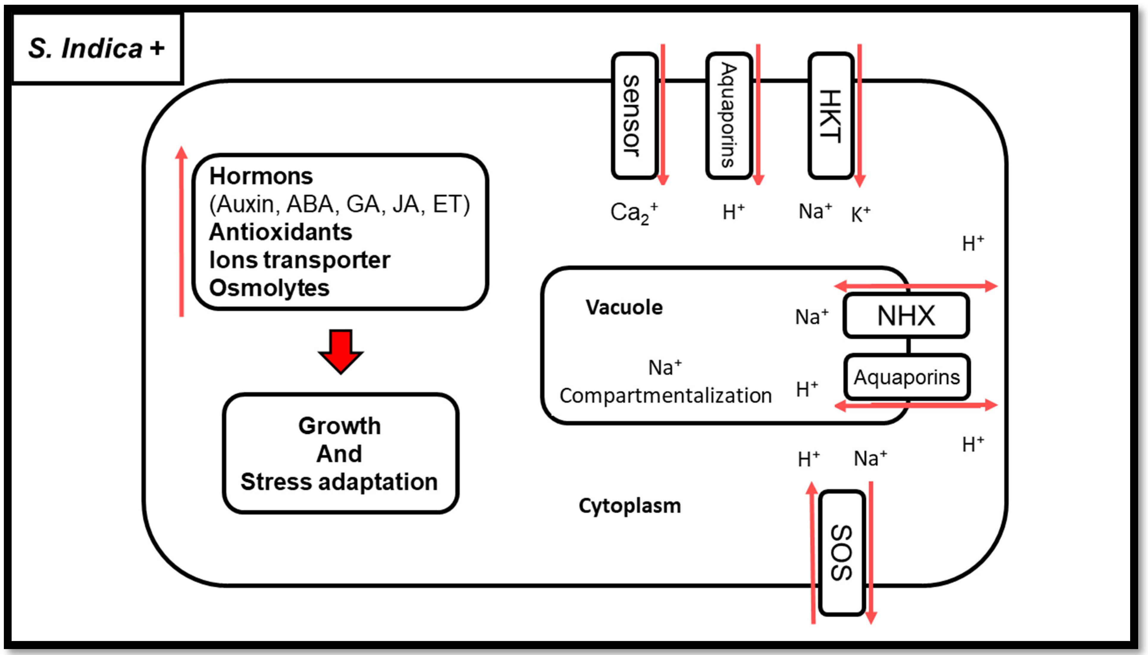 Biology 11 00952 g003