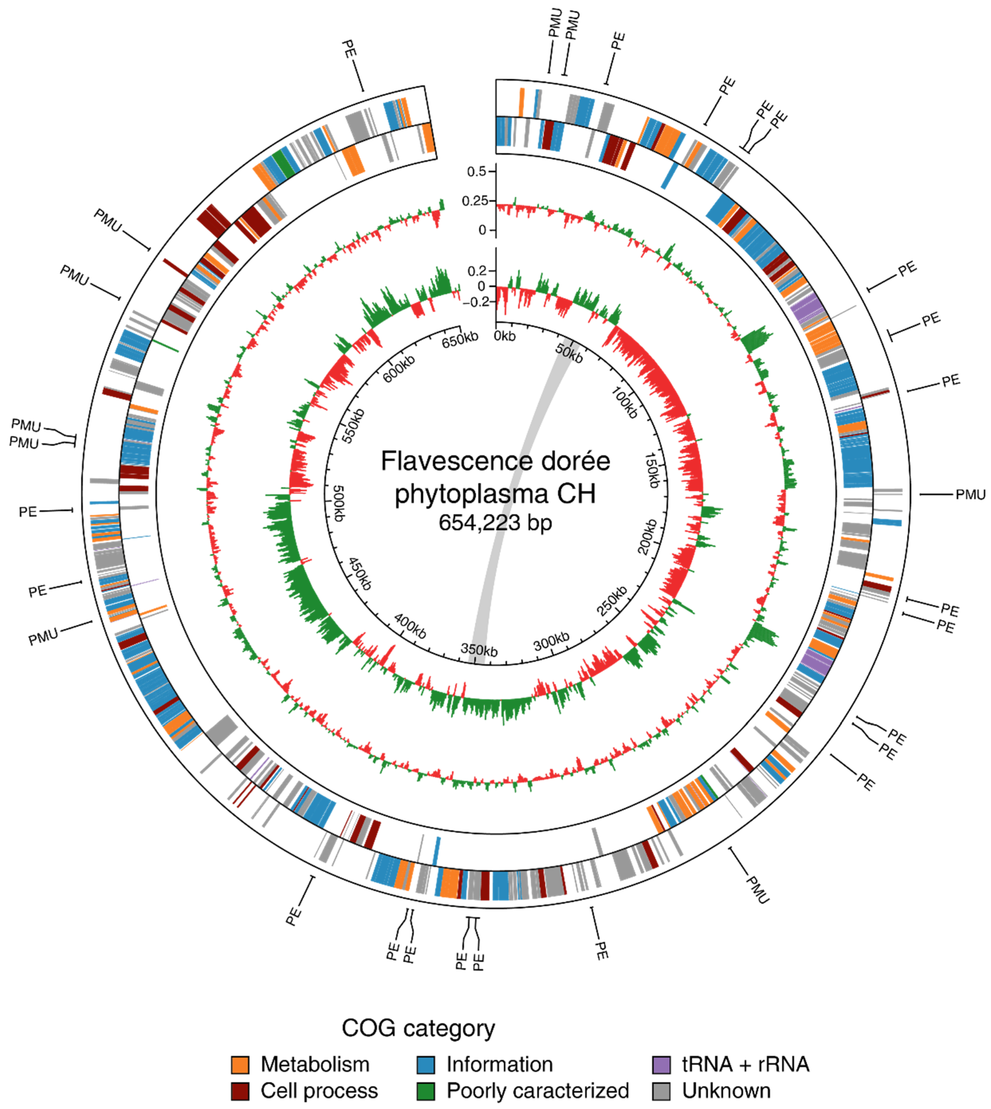 Biology 11 00953 g002 Biology 11 00953 g002