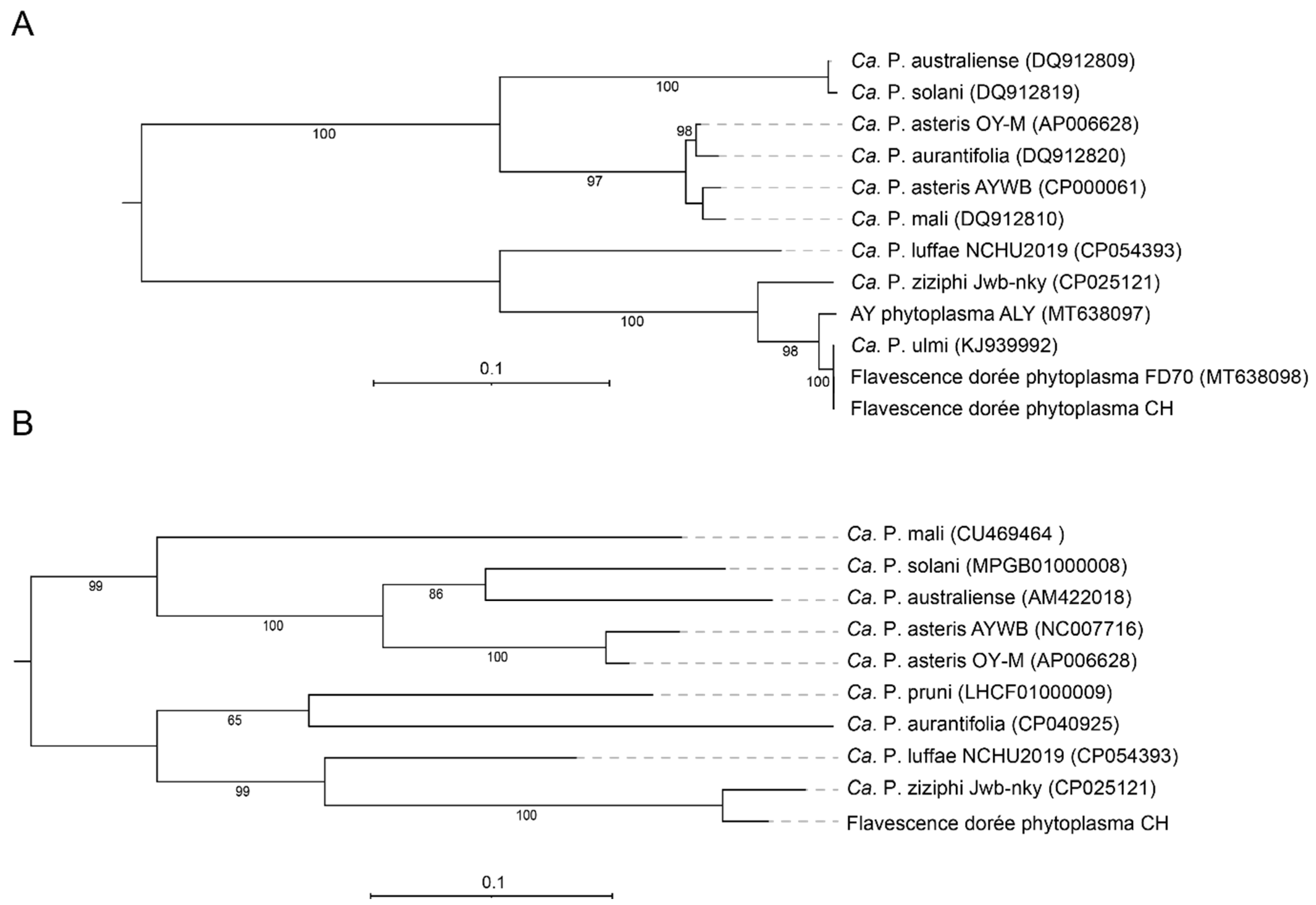 Biology 11 00953 g005 Biology 11 00953 g005