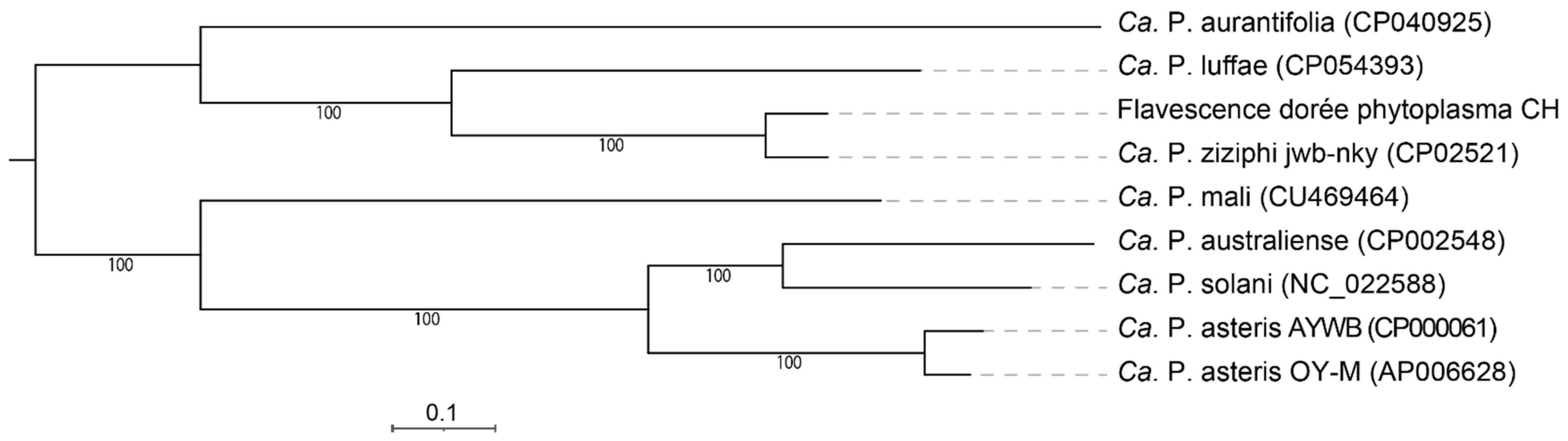 Biology 11 00953 g006 Biology 11 00953 g006