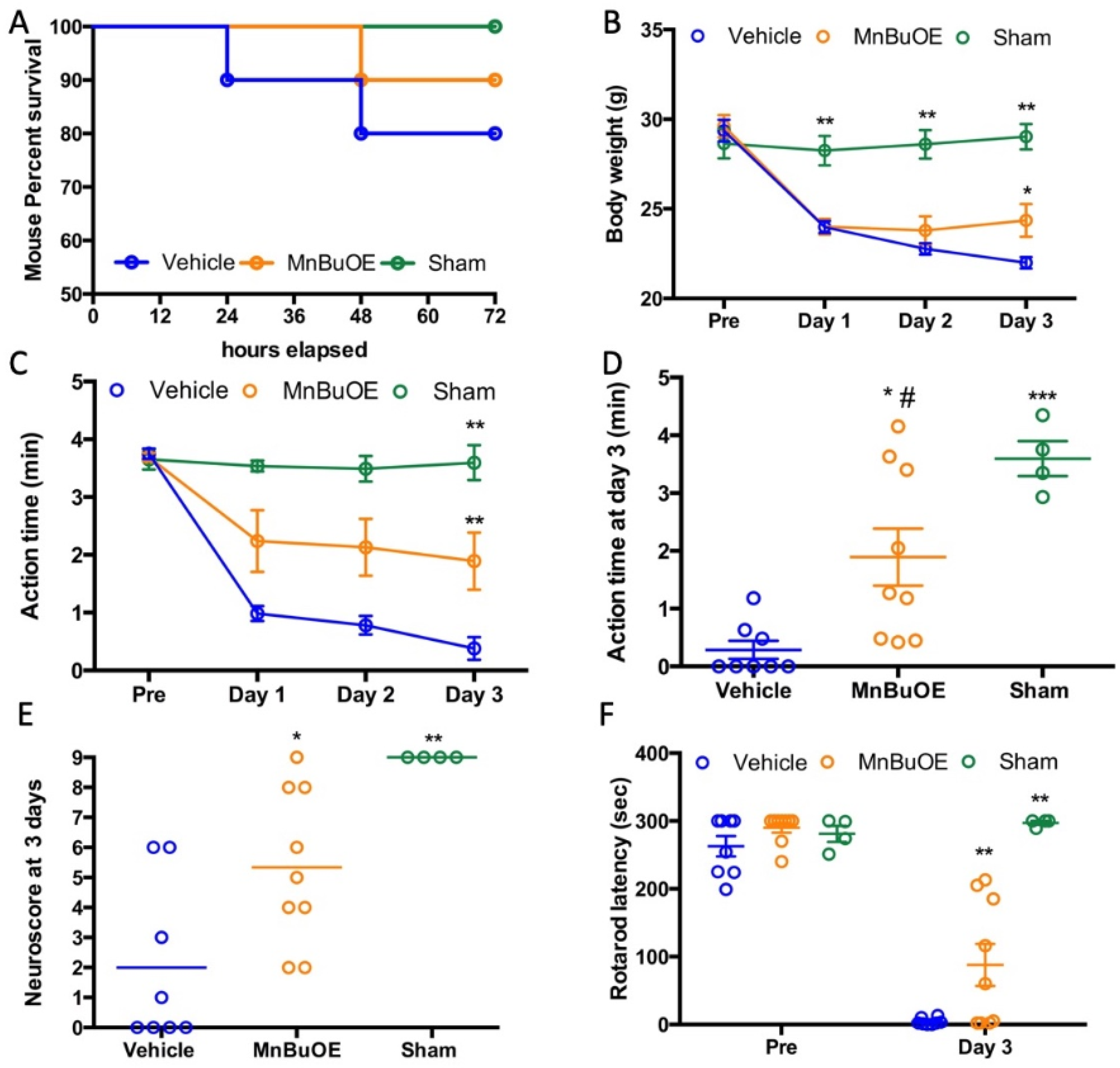 Biology 11 00957 g001