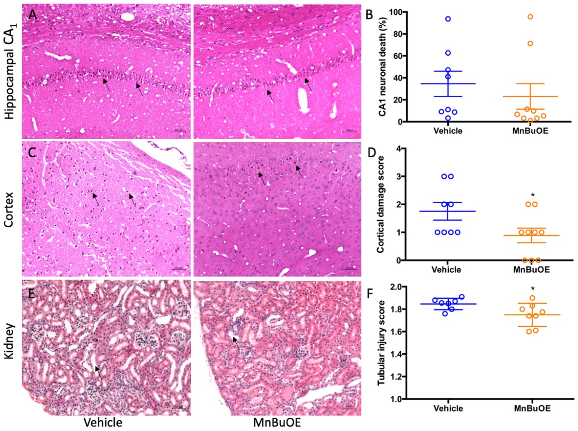 Biology 11 00957 g002