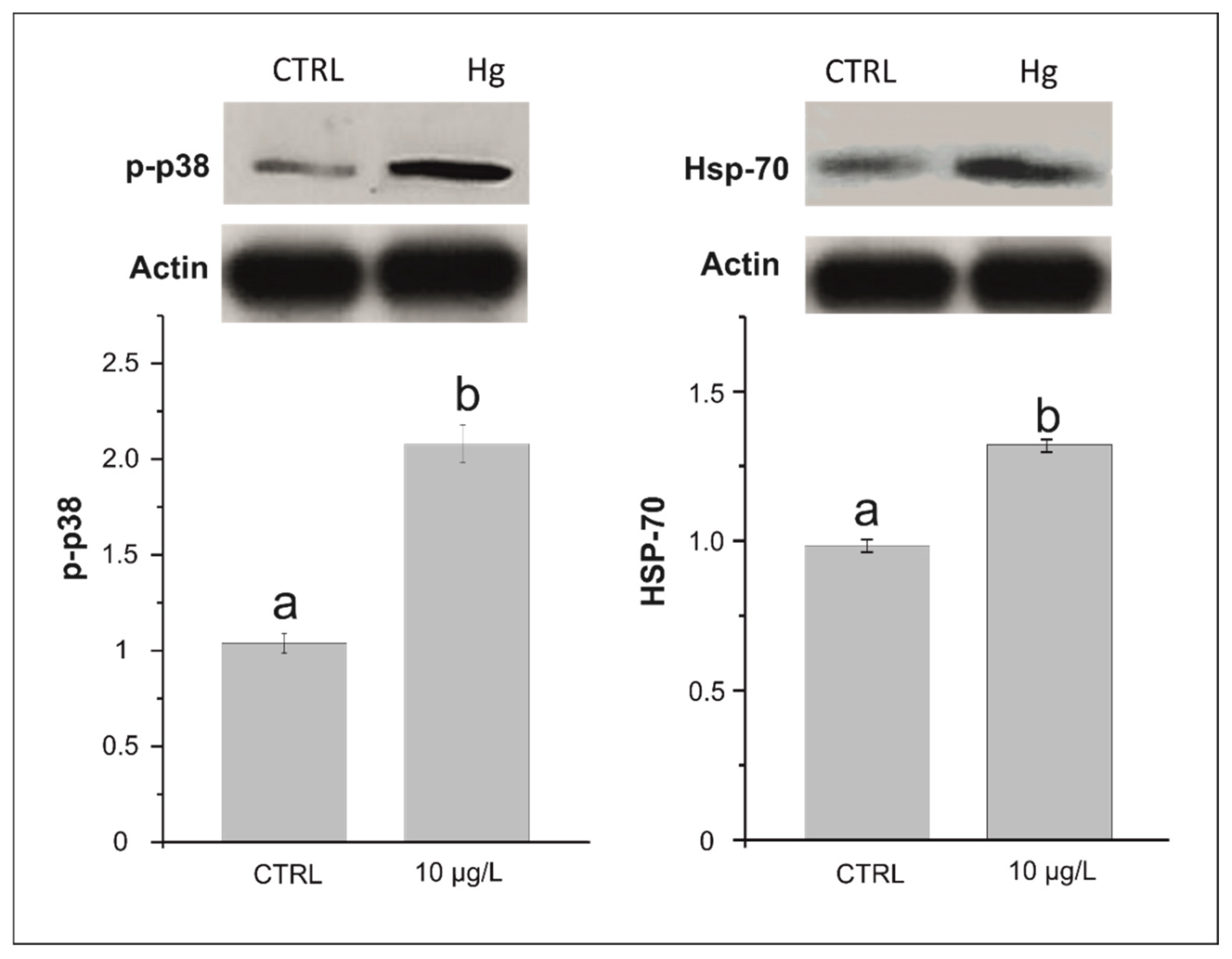 Biology 11 00960 g002 Biology 11 00960 g002