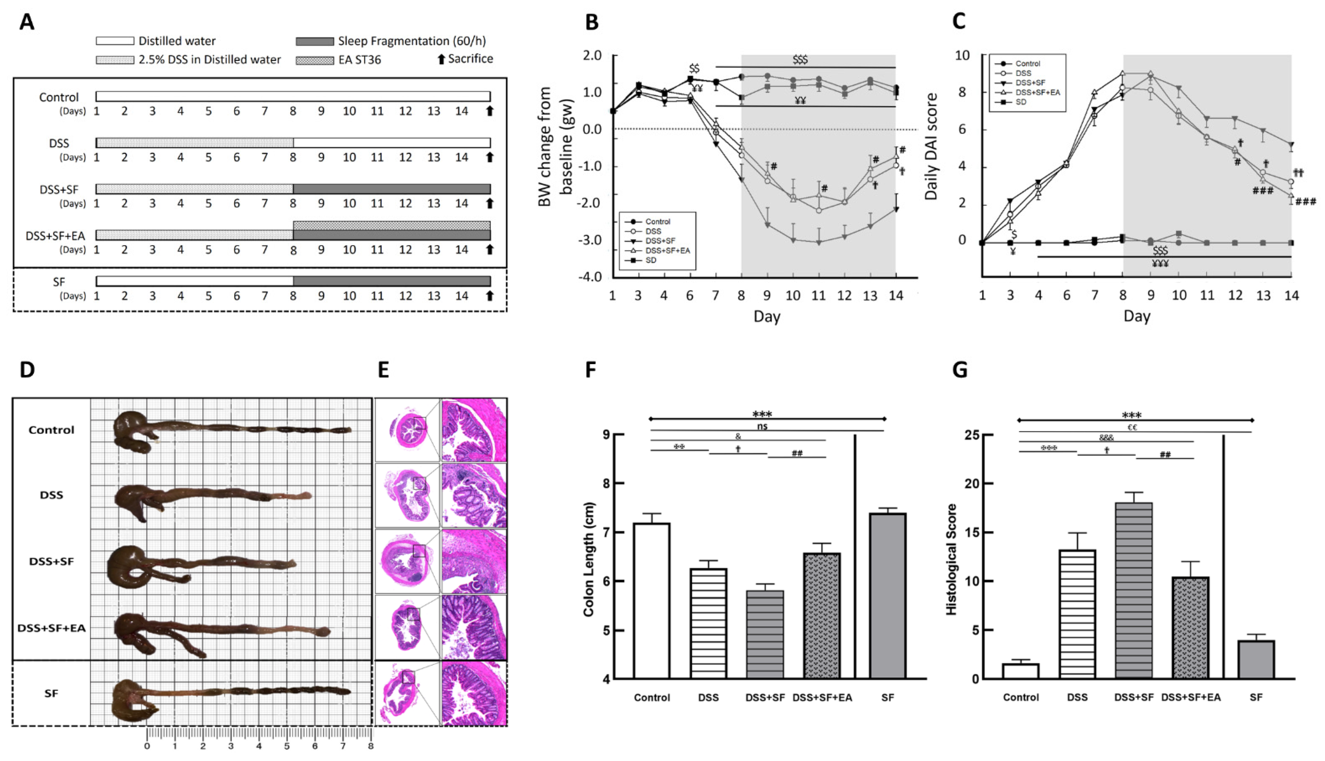 Biology 11 00962 g001