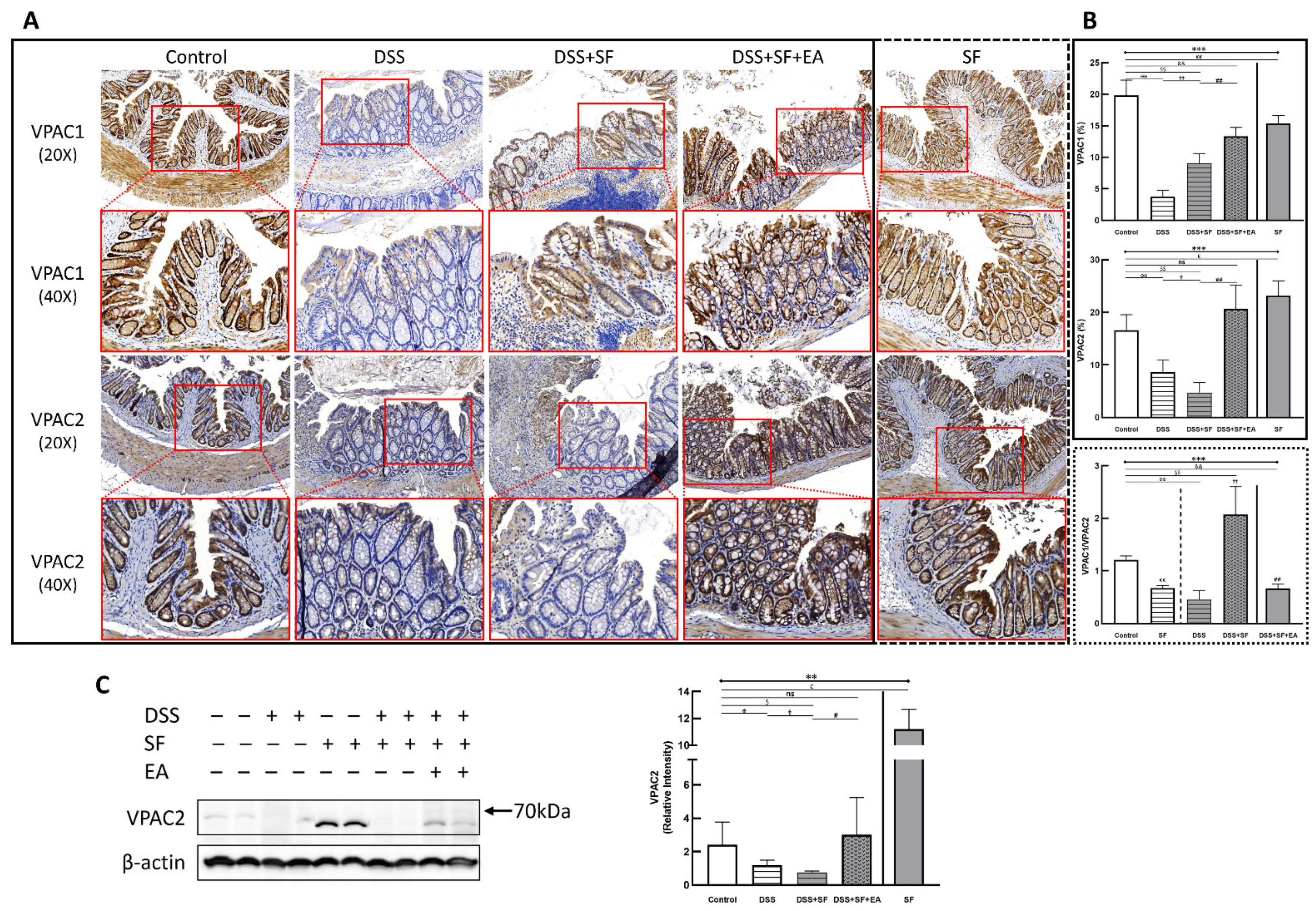 Biology 11 00962 g007