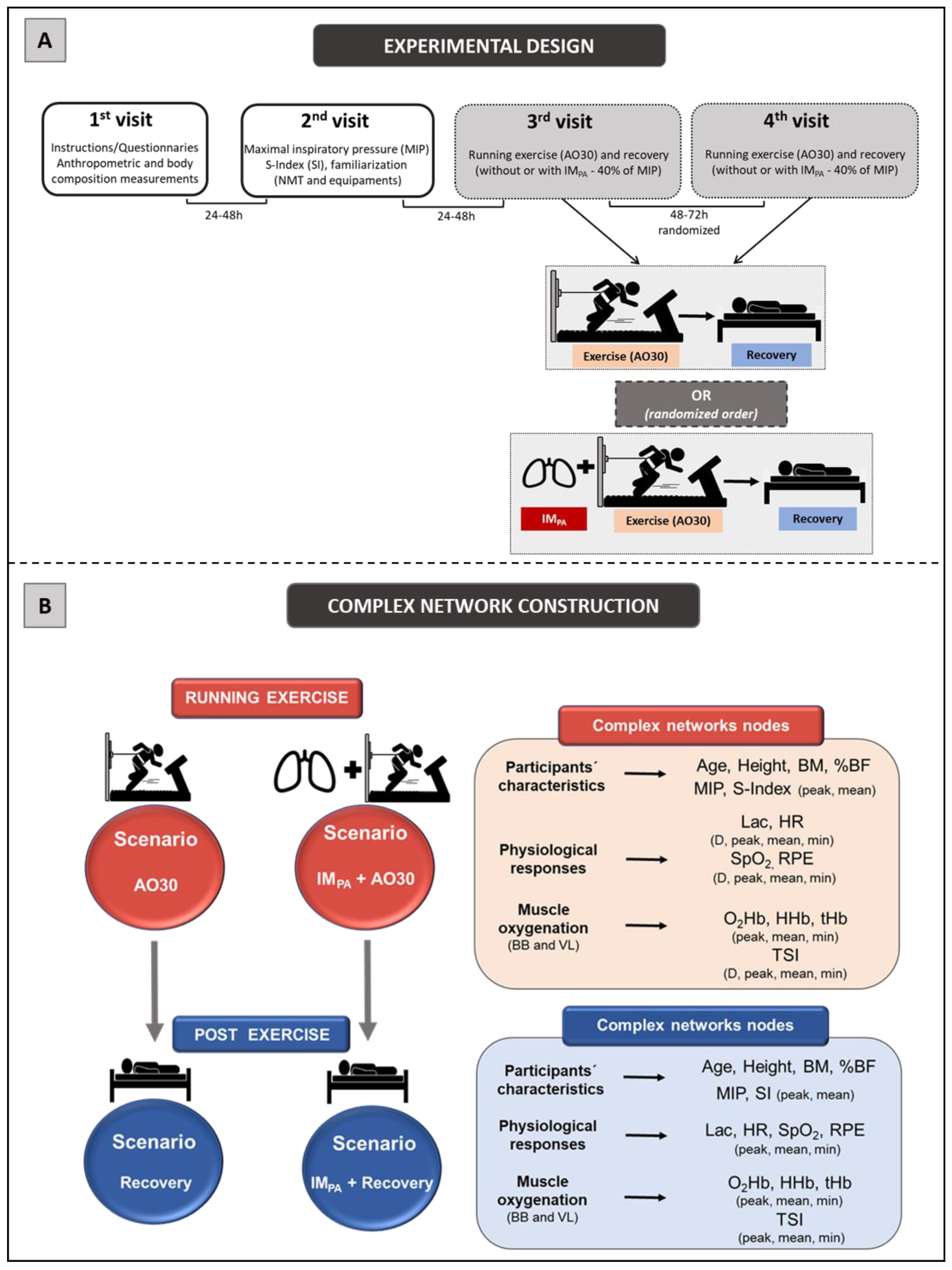 Biology 11 00963 g001