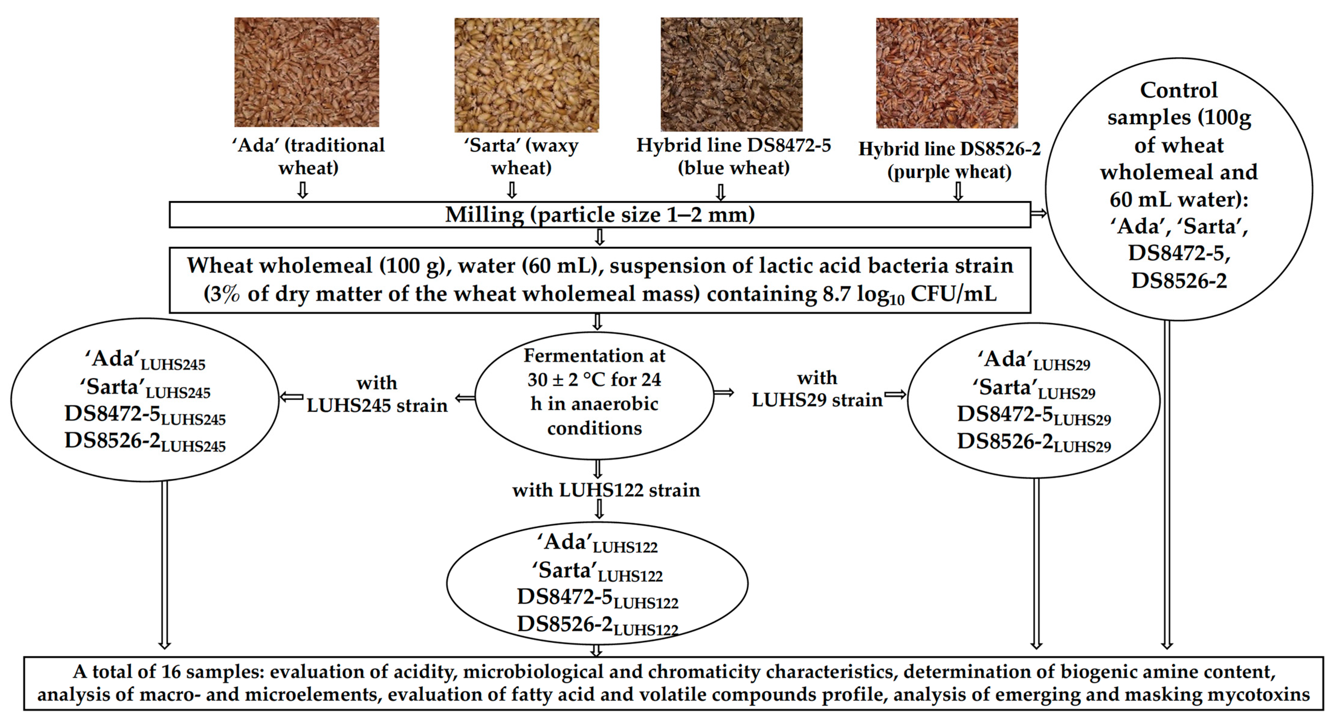 Biology 11 00966 g001 Biology 11 00966 g001