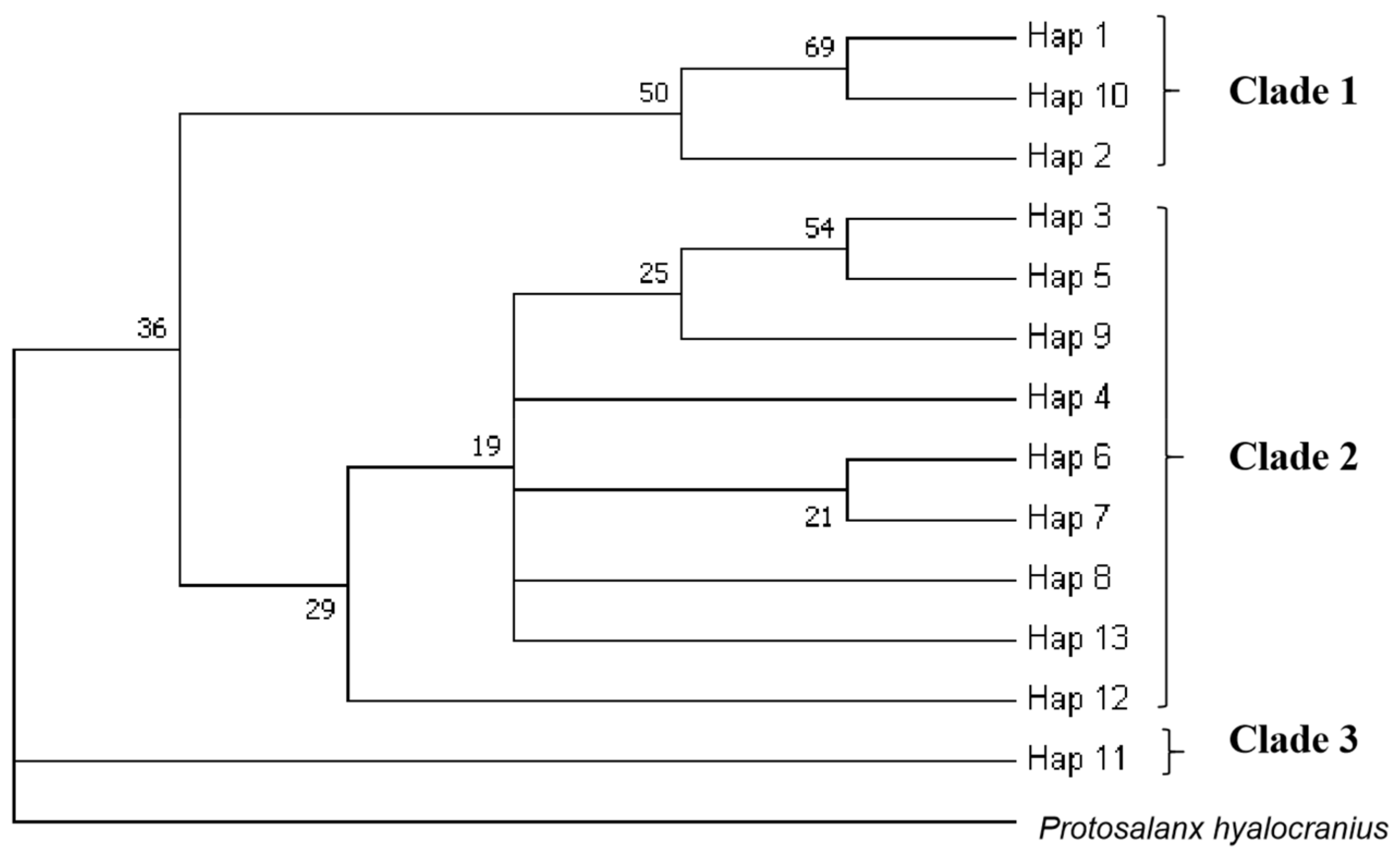 Biology 11 00968 g004 Biology 11 00968 g004