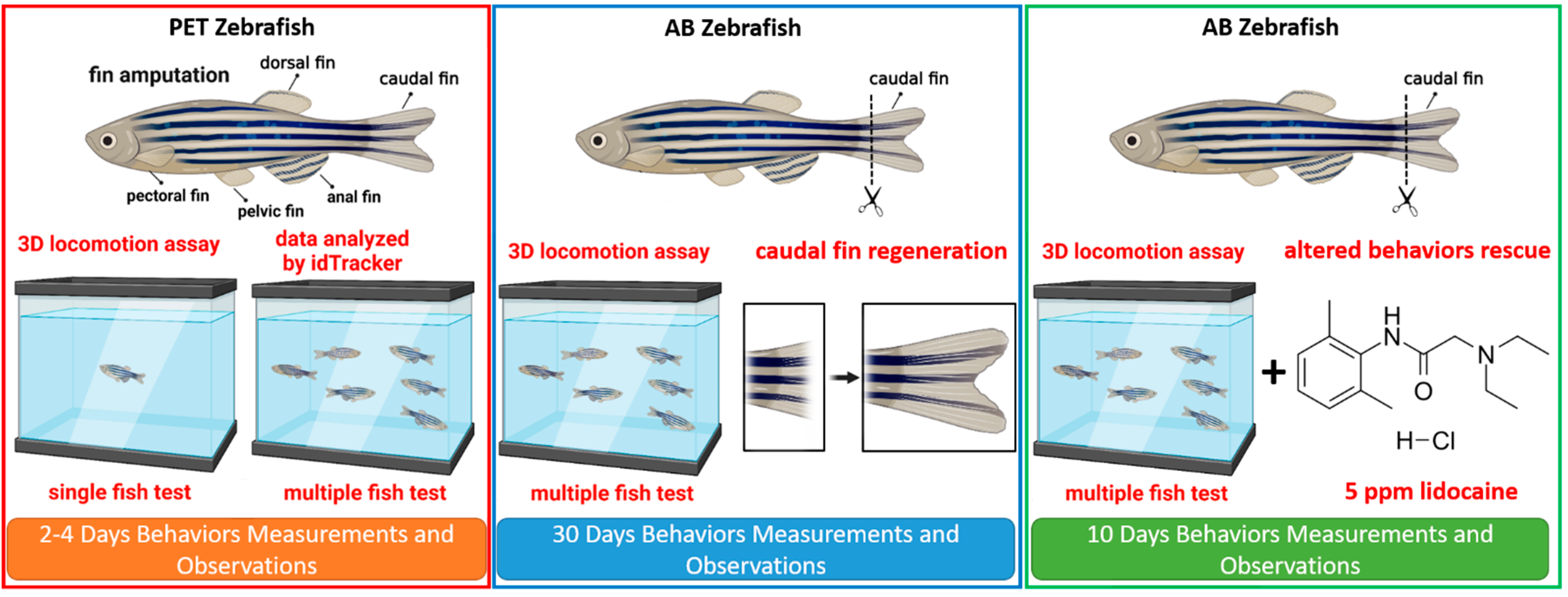 Biology 11 00969 g001 Biology 11 00969 g001
