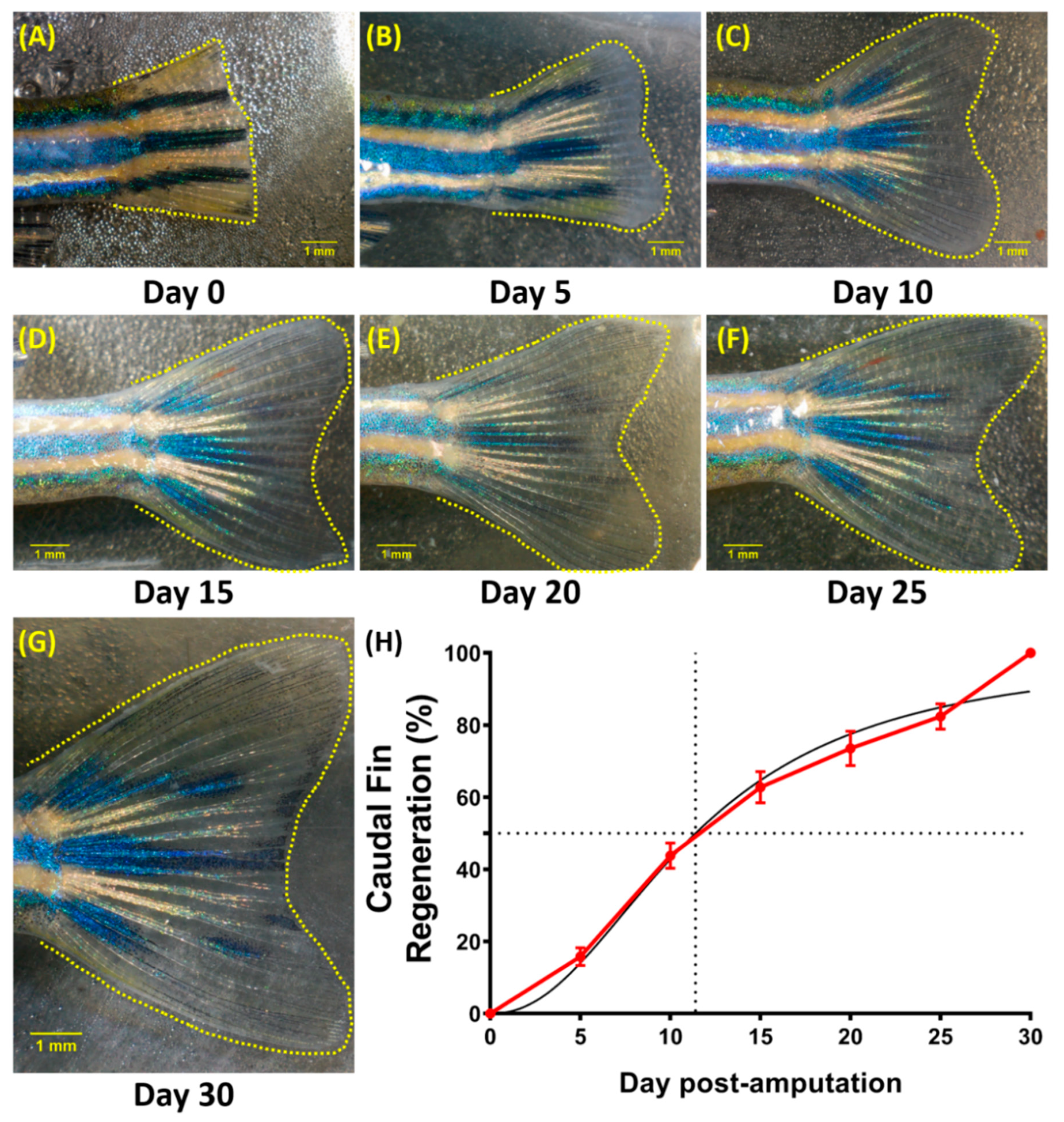 Biology 11 00969 g005 Biology 11 00969 g005