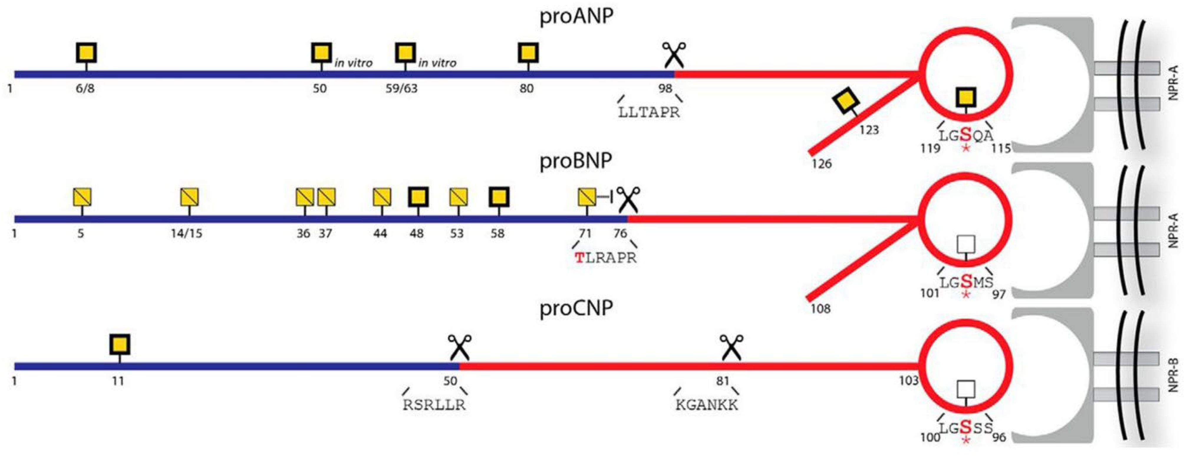 Biology 11 00971 g002