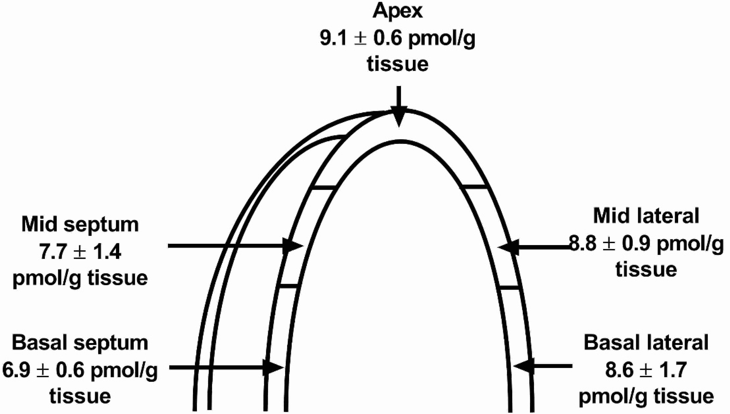 Biology 11 00971 g004
