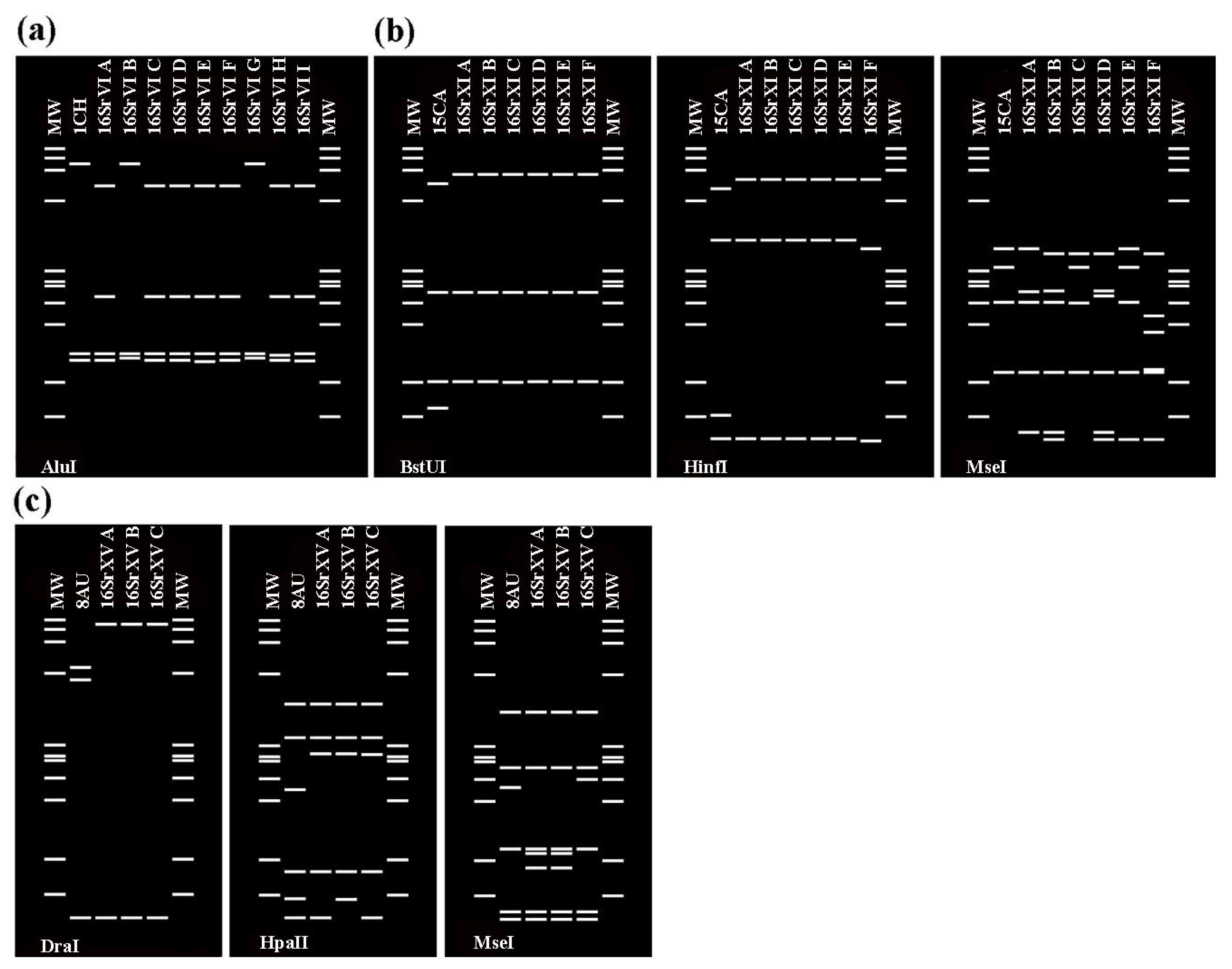 Biology 11 00977 g002