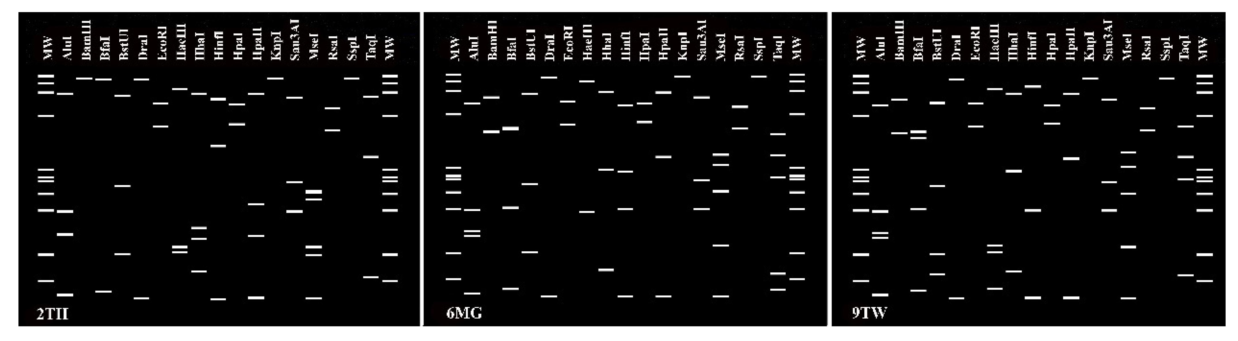 Biology 11 00977 g003