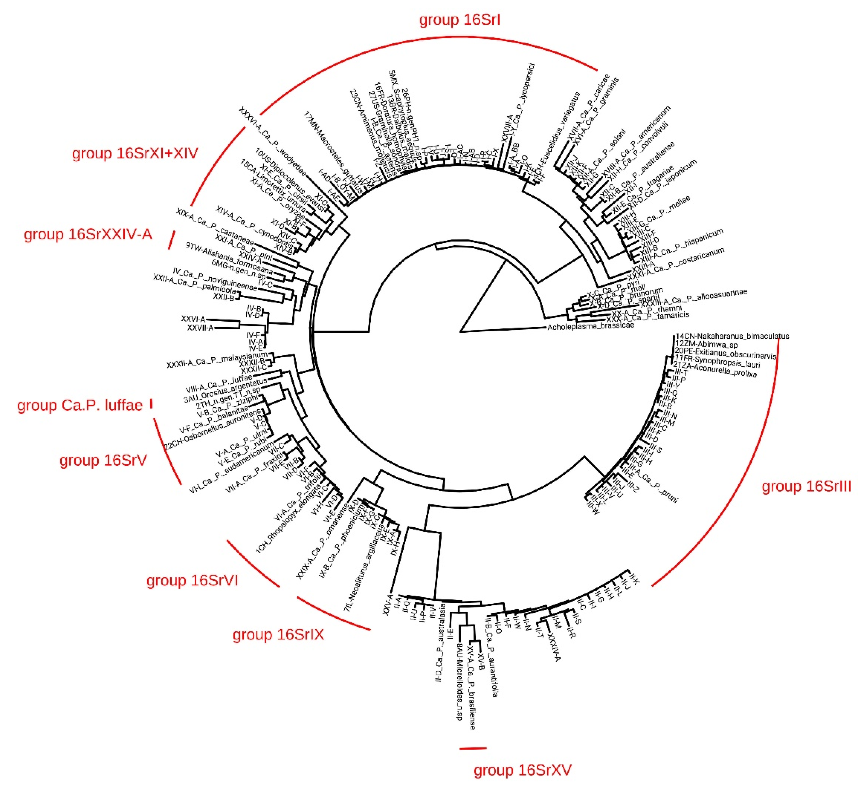 Biology 11 00977 g004
