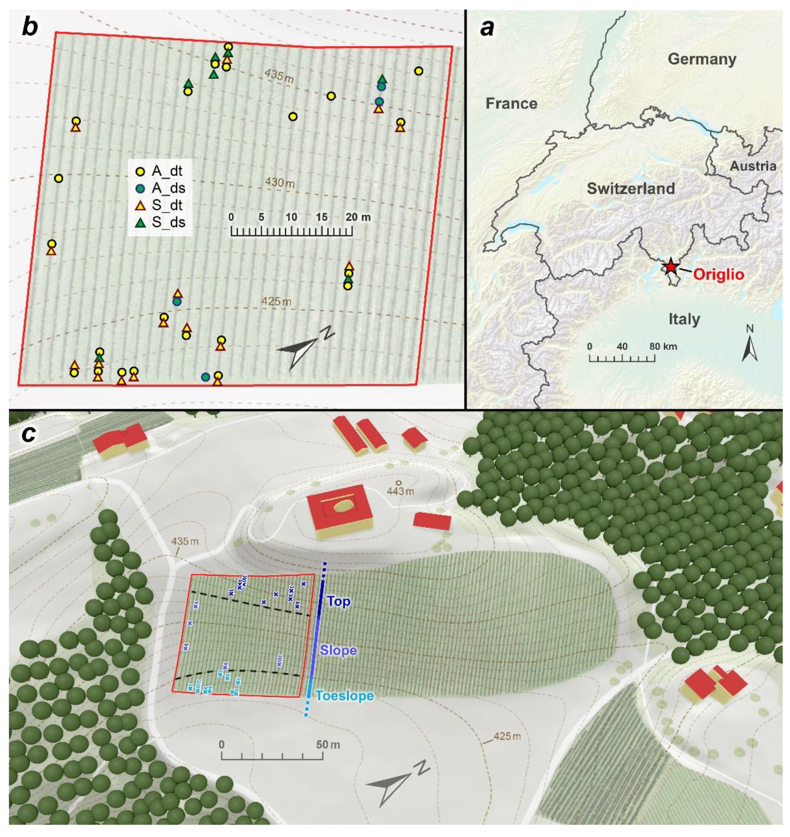 Biology 11 00978 g001