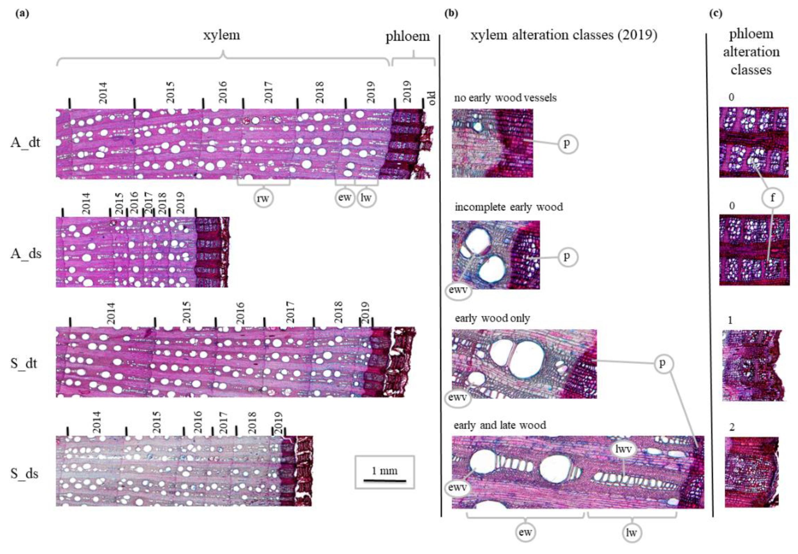 Biology 11 00978 g002