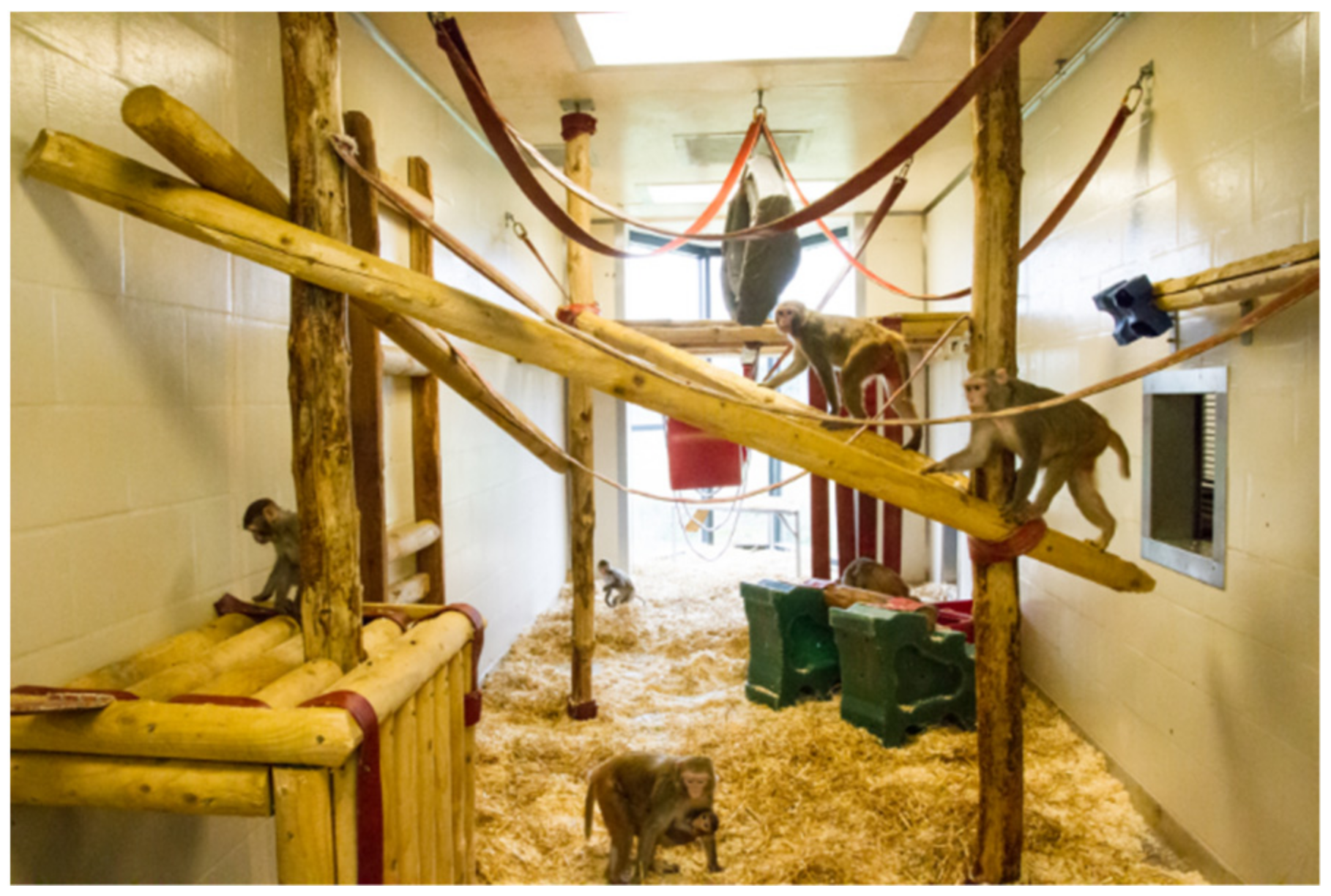 Biology 11 00979 g001