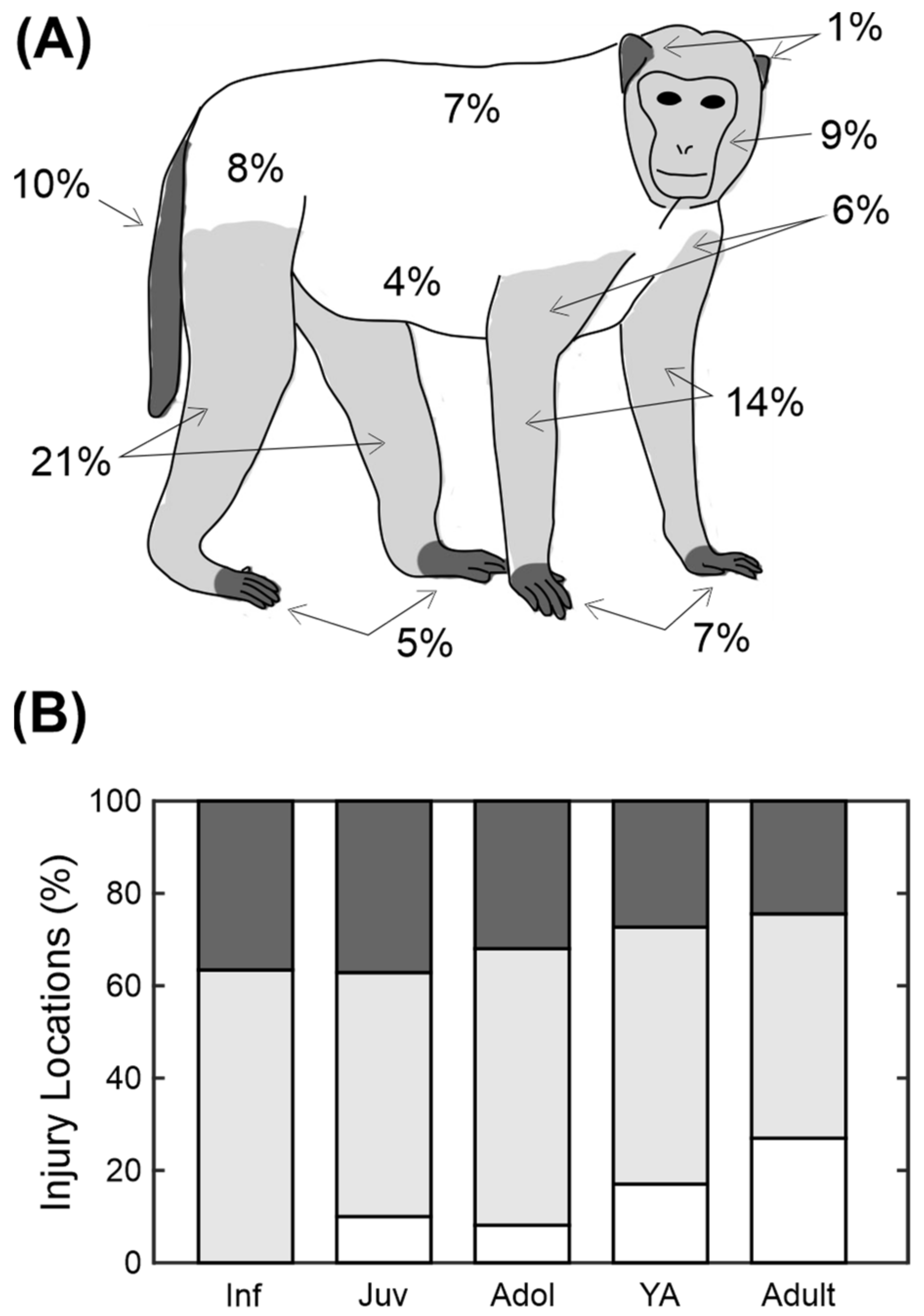 Biology 11 00979 g003