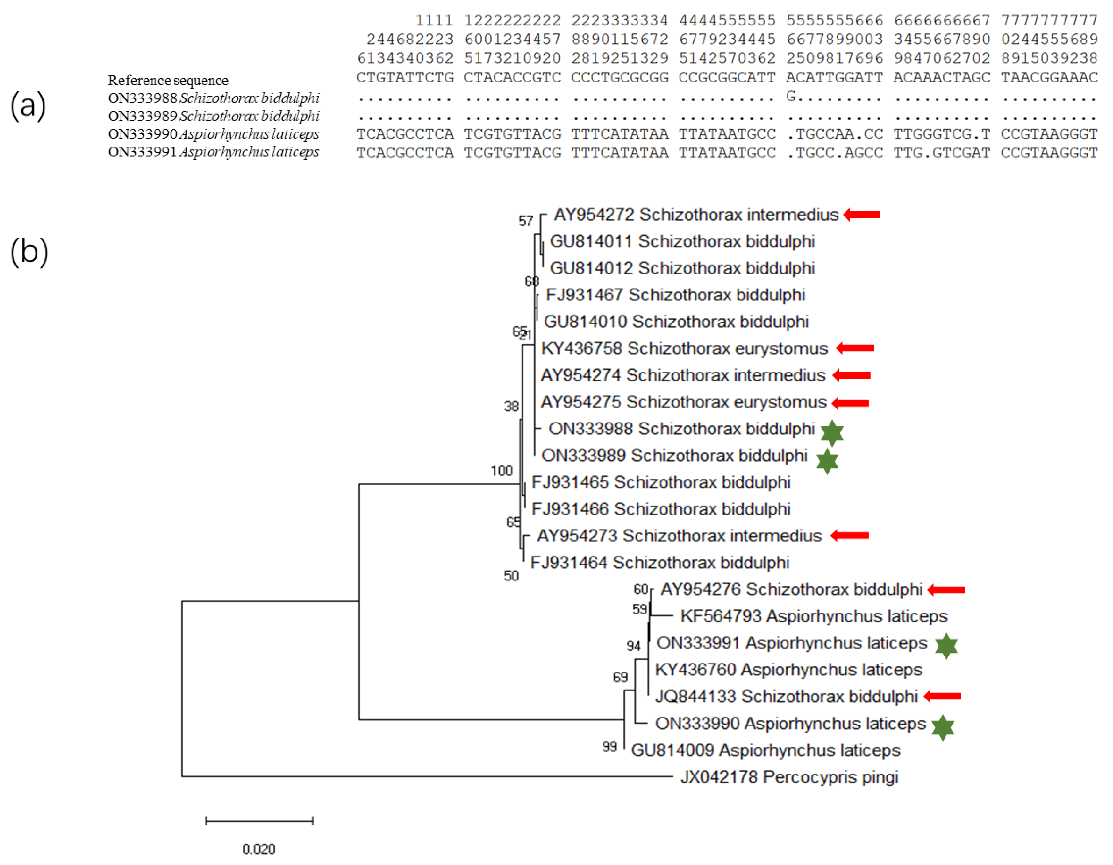 Biology 11 00981 g003 550