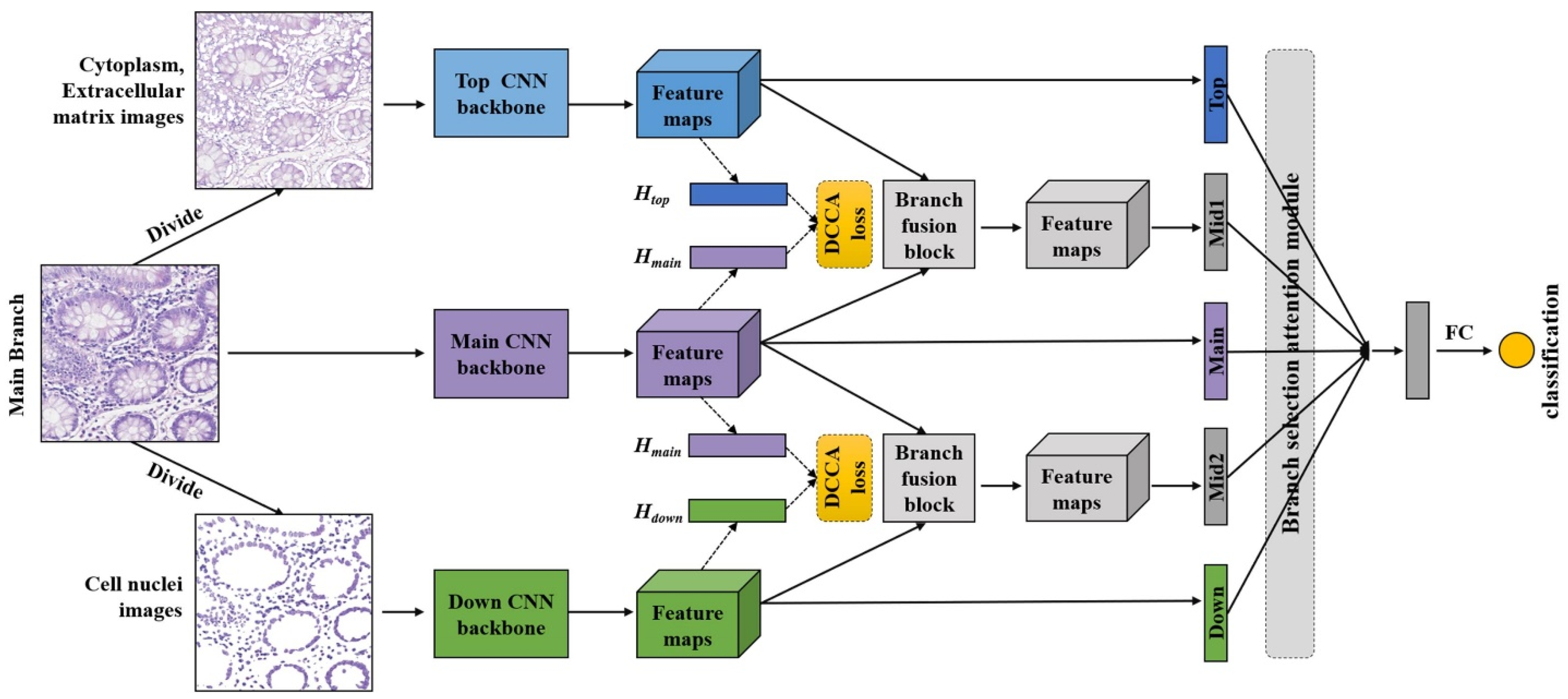 Biology 11 00982 g002 550