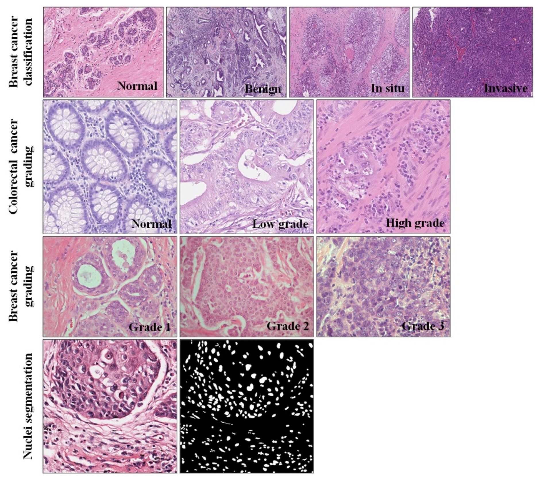 Biology 11 00982 g004 550