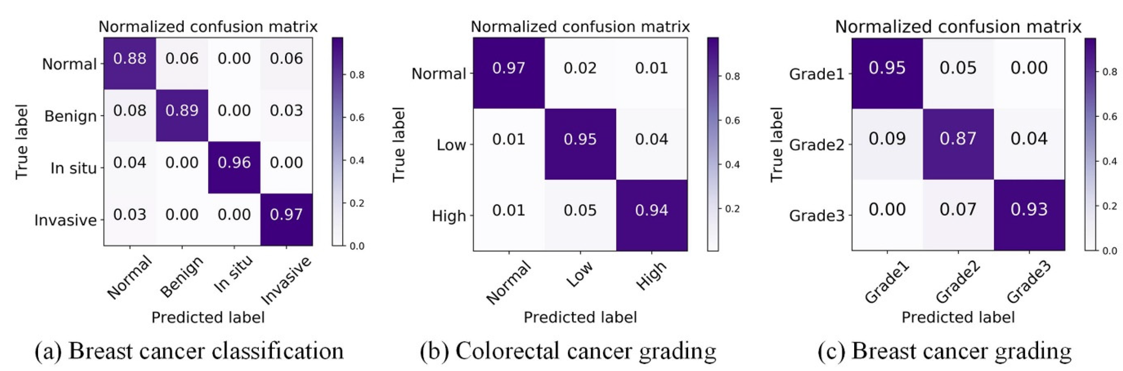 Biology 11 00982 g005 550