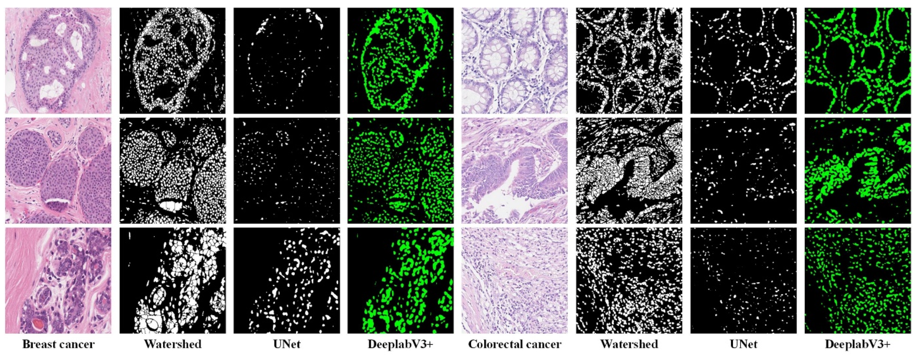 Biology 11 00982 g007 550
