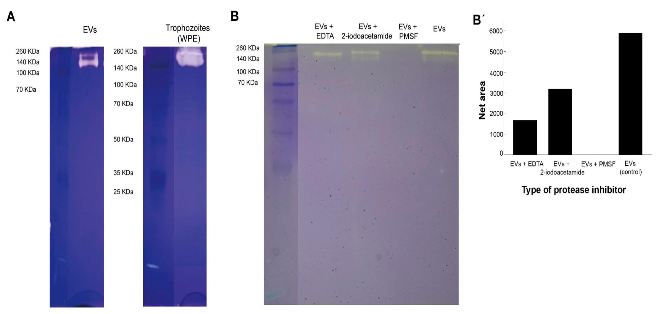 Biology 11 00983 g005