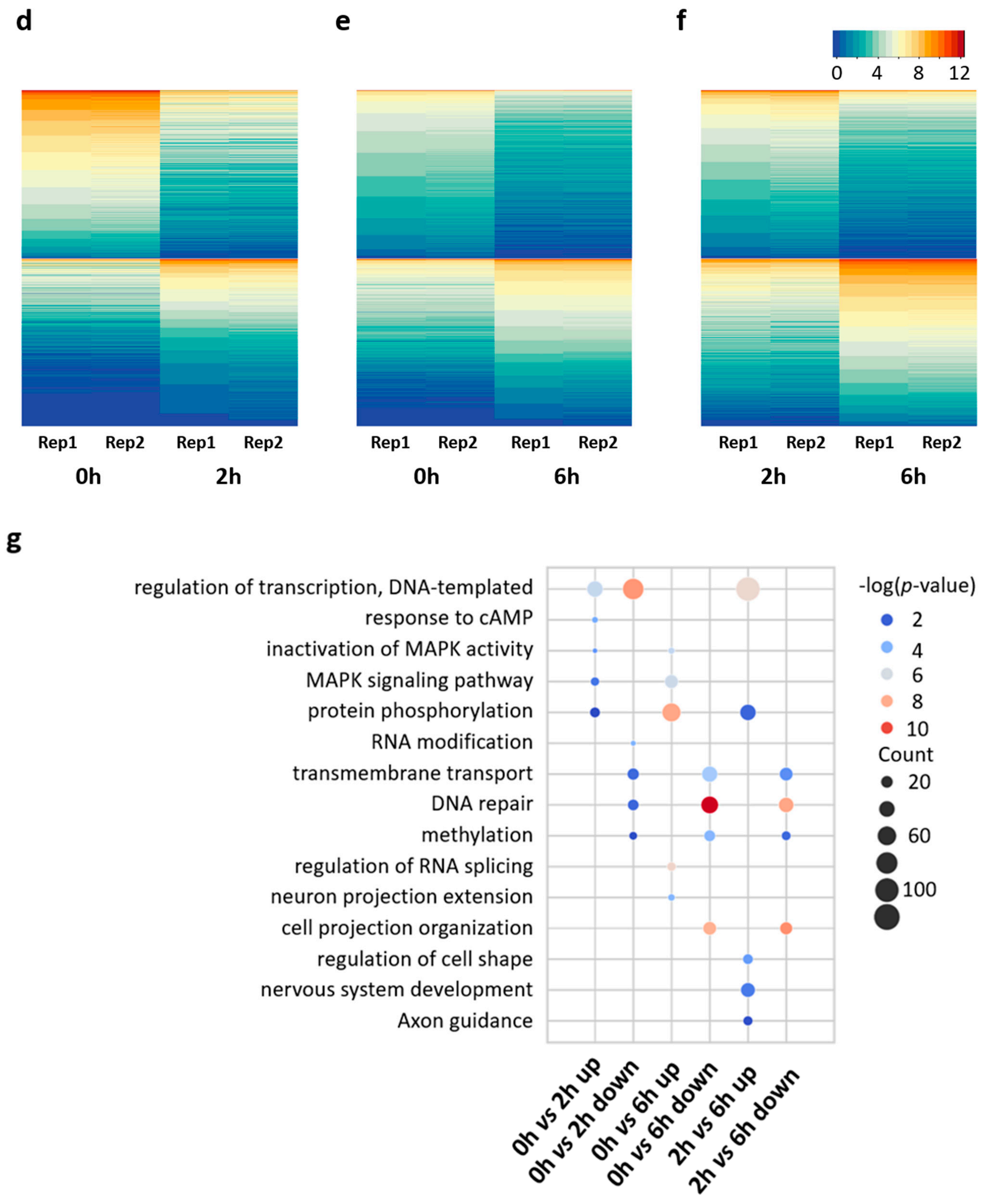 Biology 11 00988 g002b