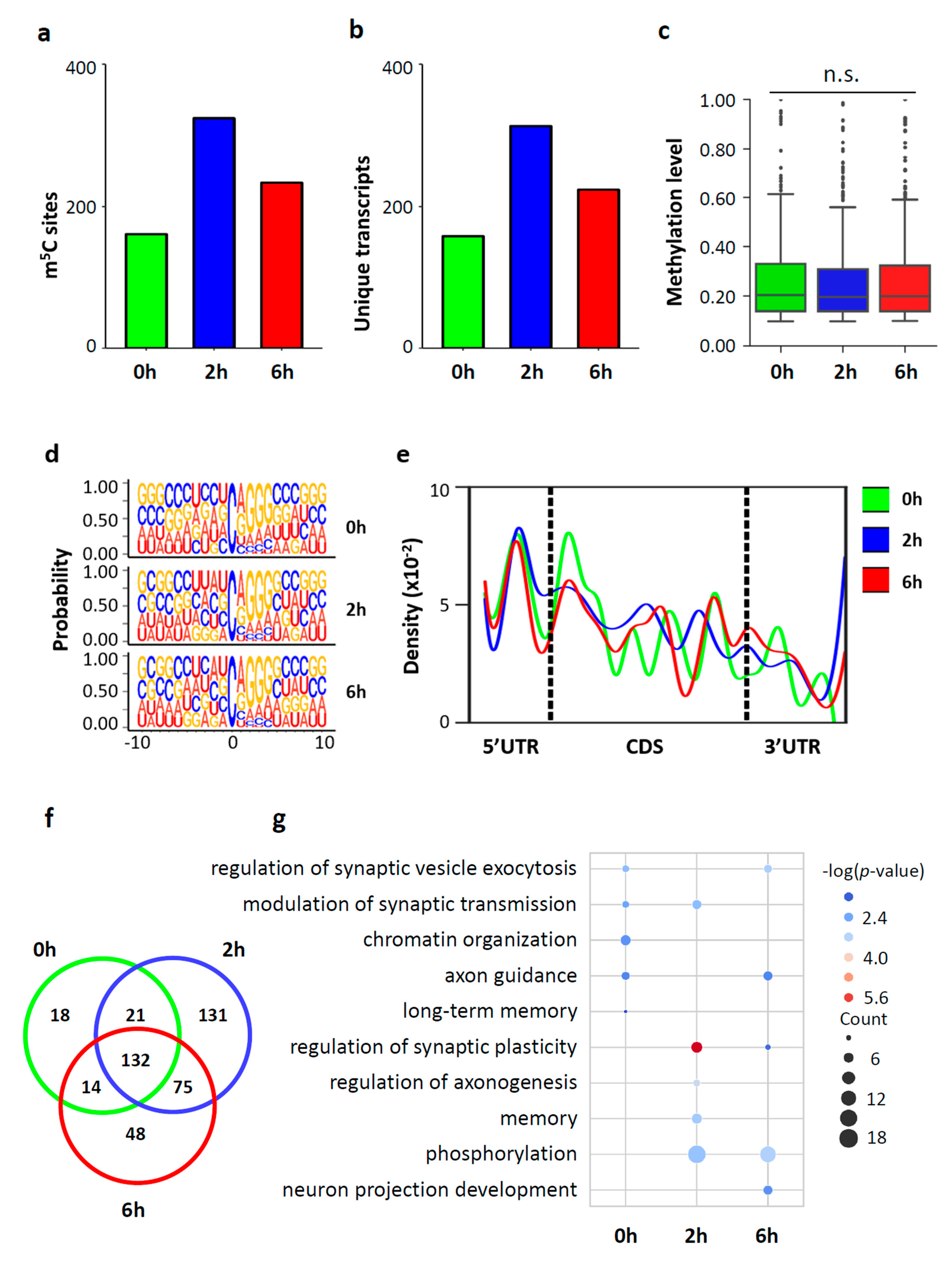 Biology 11 00988 g004