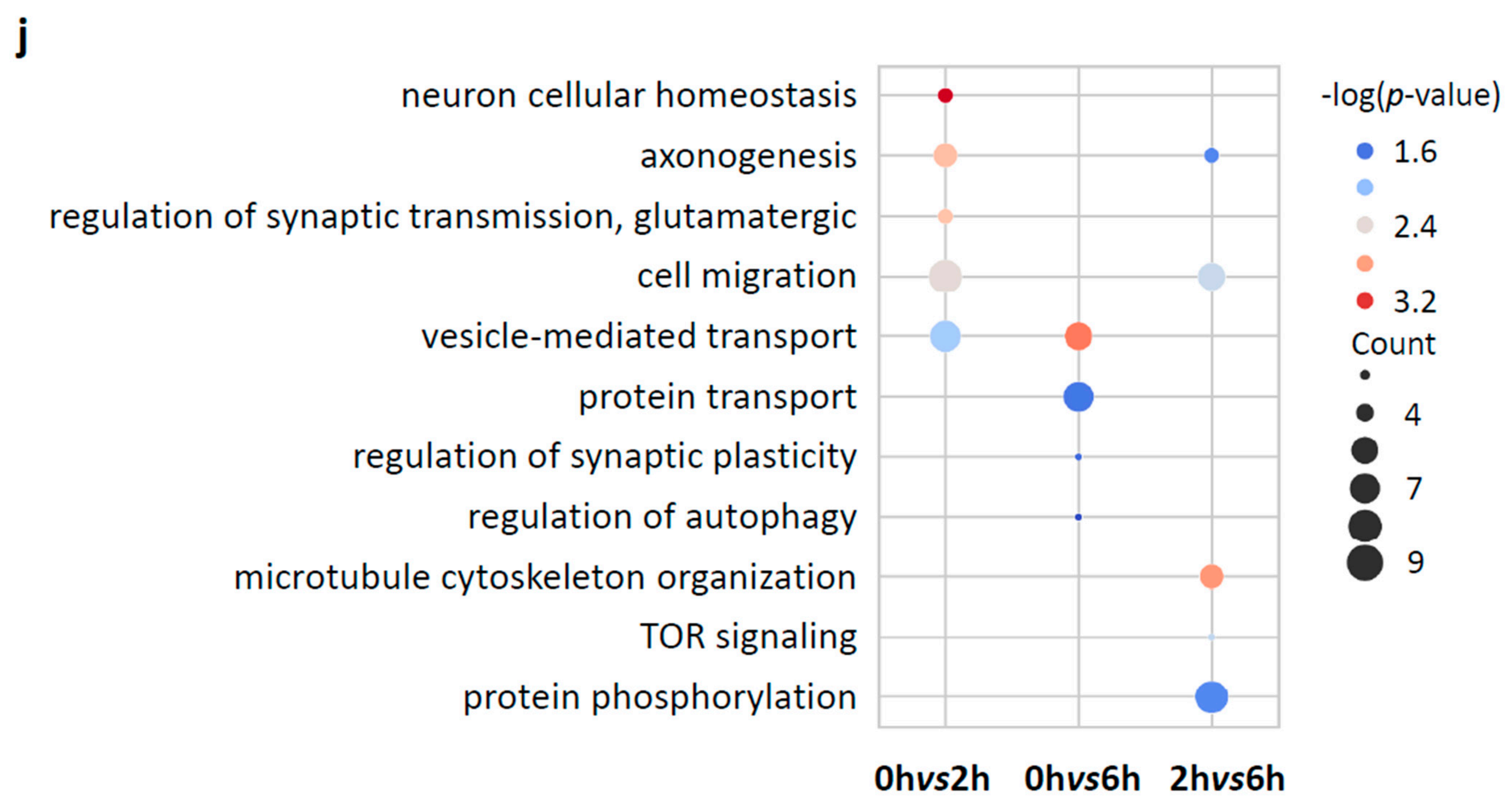 Biology 11 00988 g005b