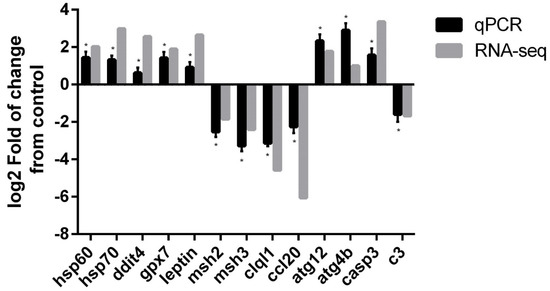 High-Temperature Stress Effect on the Red Cusk-Eel (Geypterus
