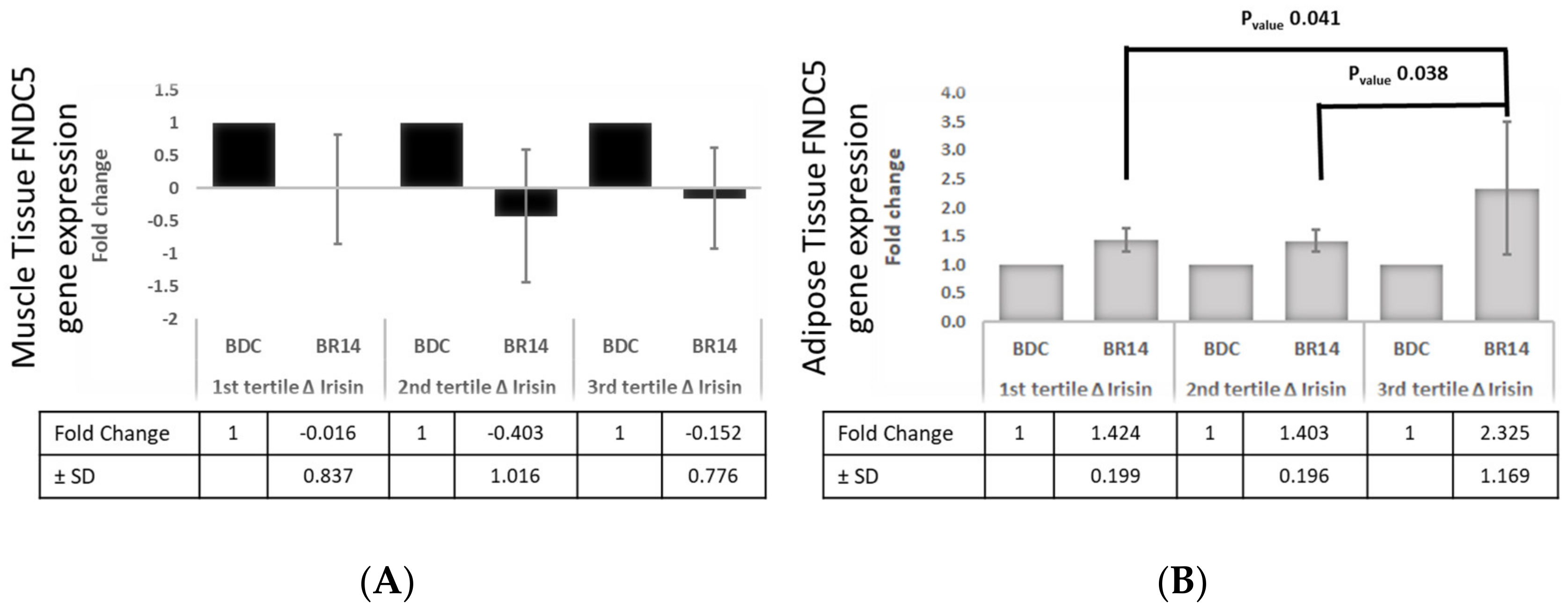 Biology 11 00999 g004