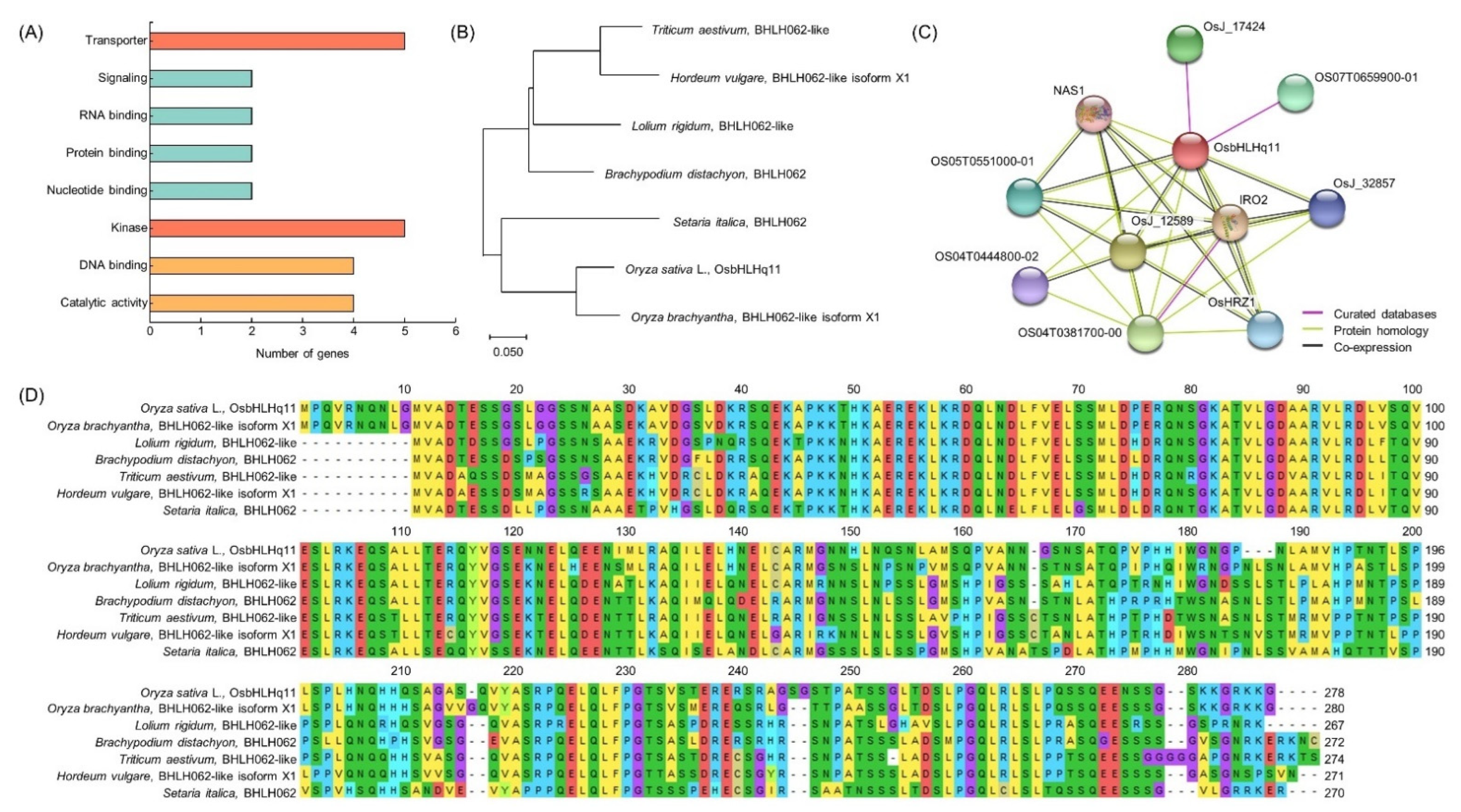 Biology 11 01000 g007 550