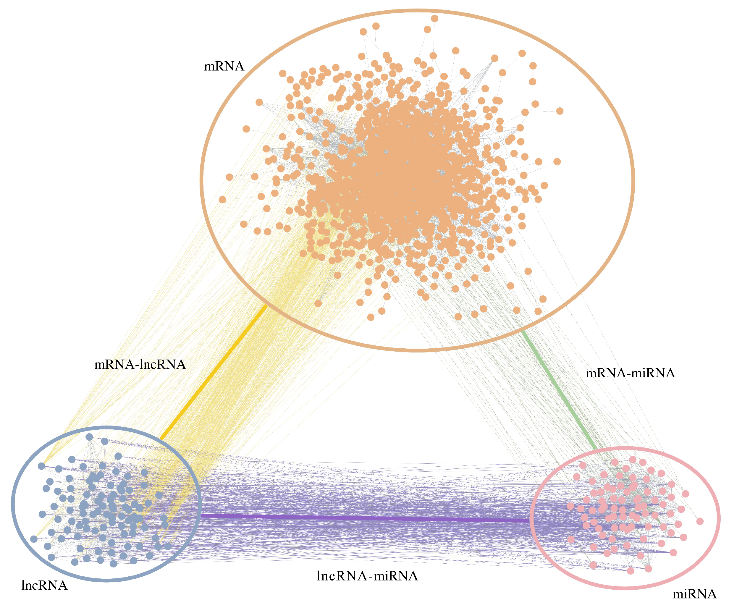 Biology 11 01003 g002 550