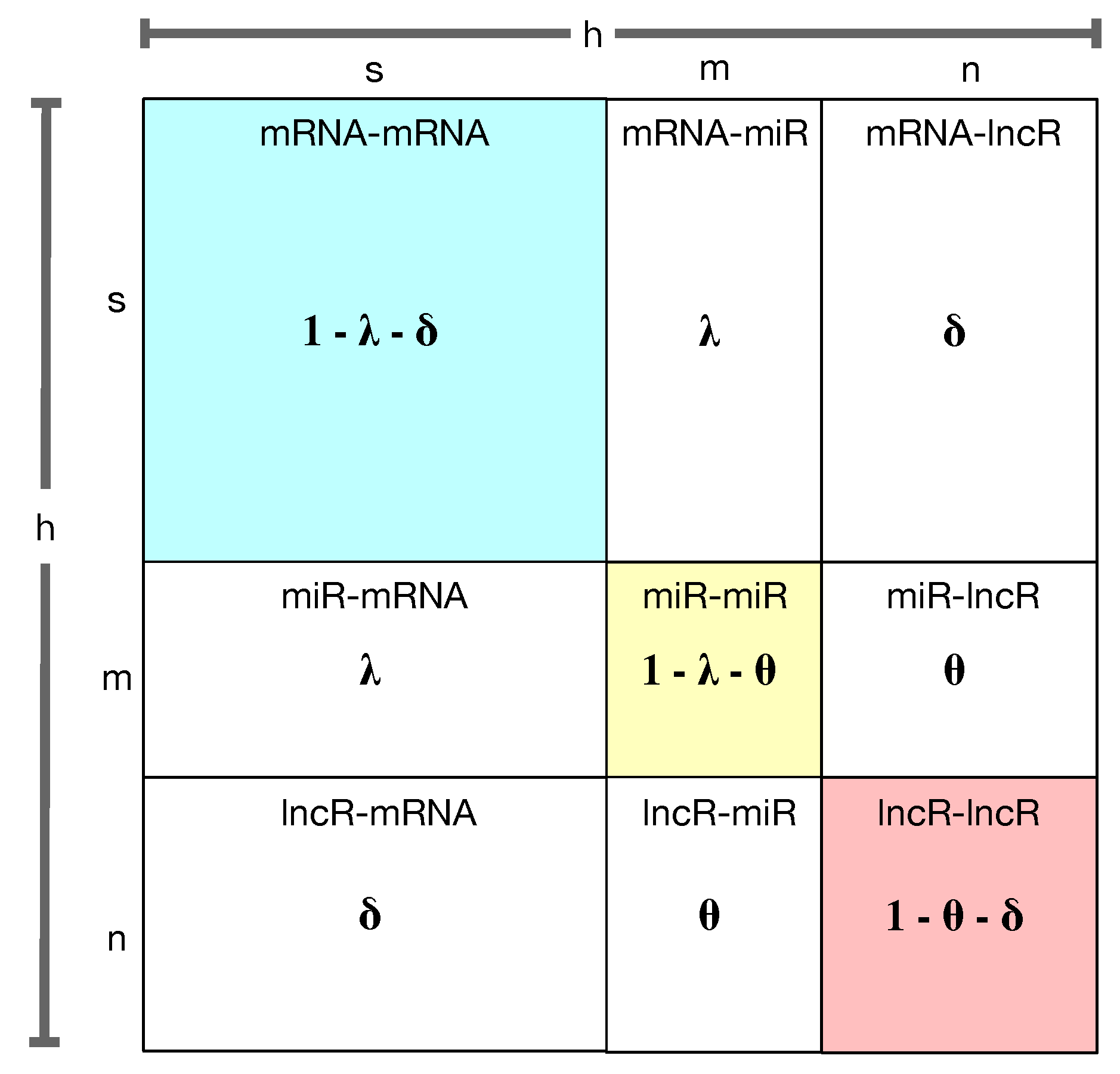 Biology 11 01003 g003 550