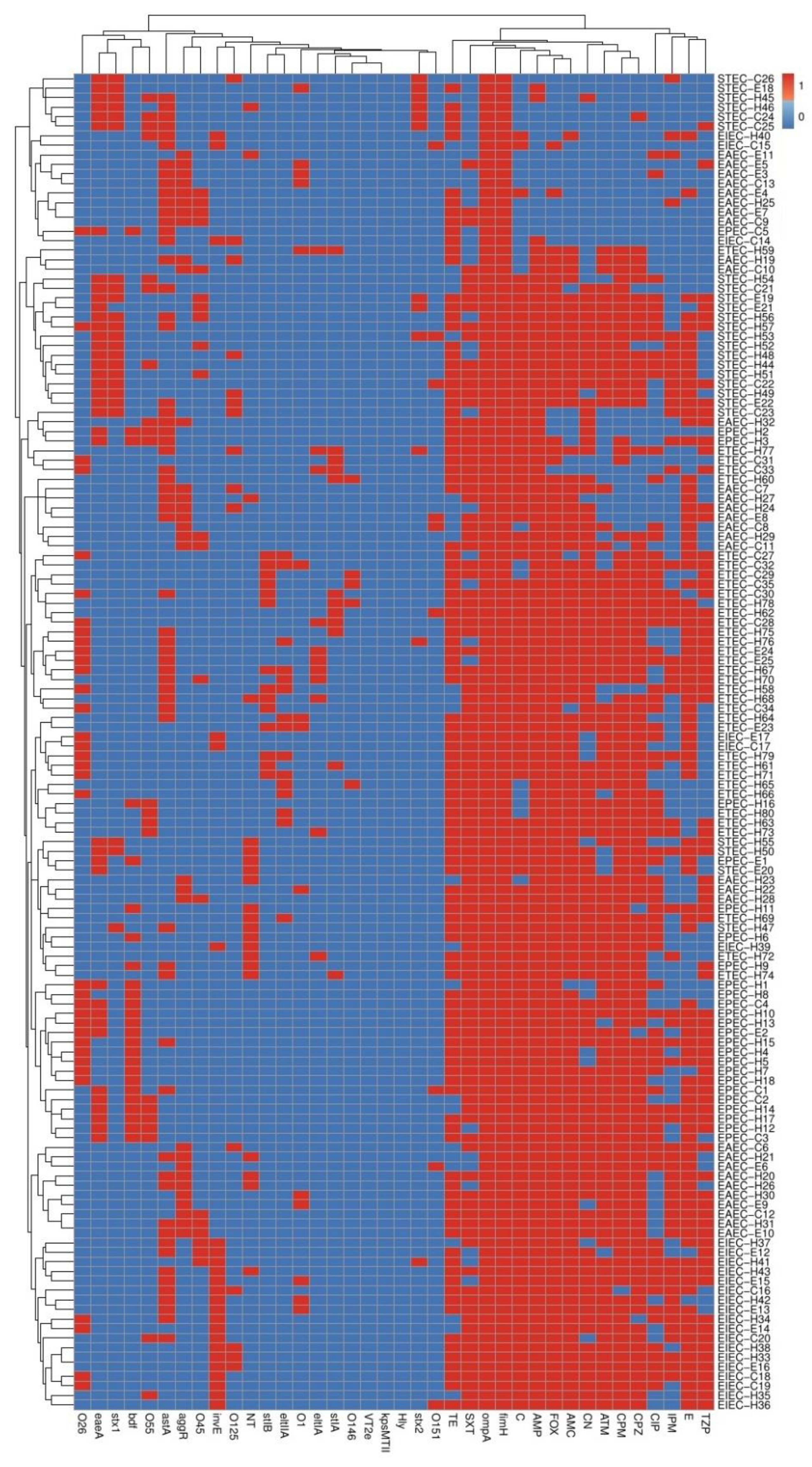 Biology 11 01004 g004