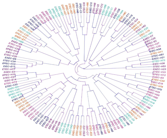 Biology 11 01004 g005