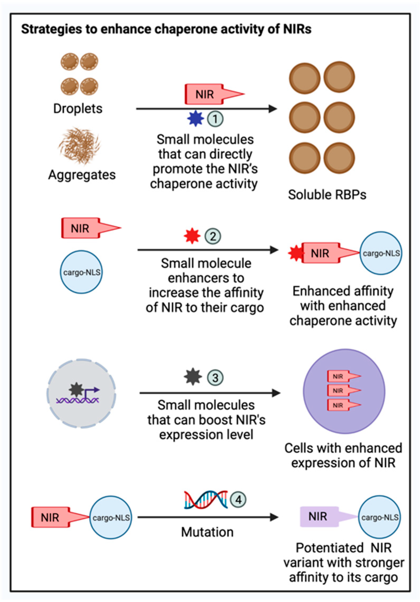 Biology 11 01009 g003 Biology 11 01009 g003