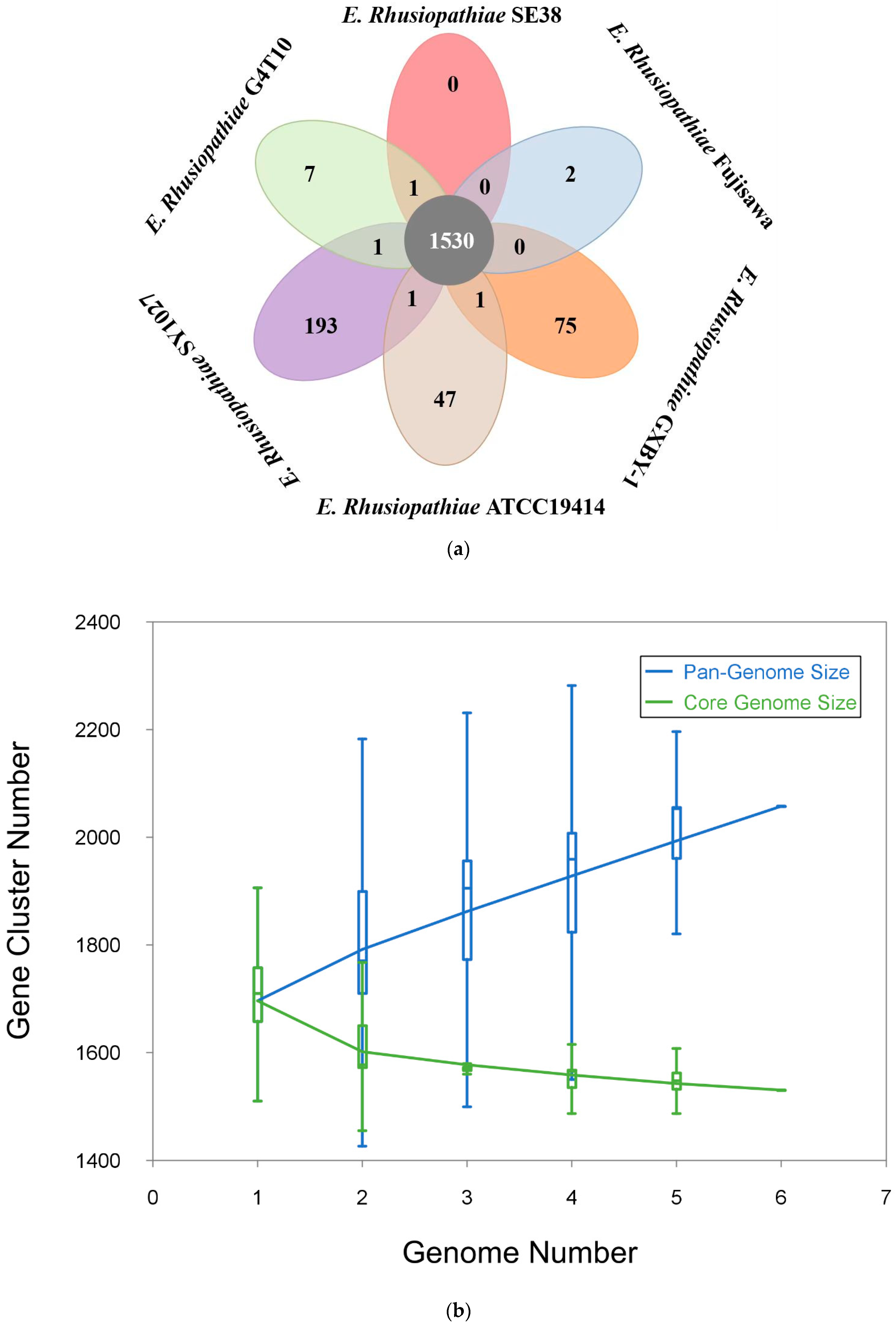 Biology 11 01010 g001a Biology 11 01010 g001a
