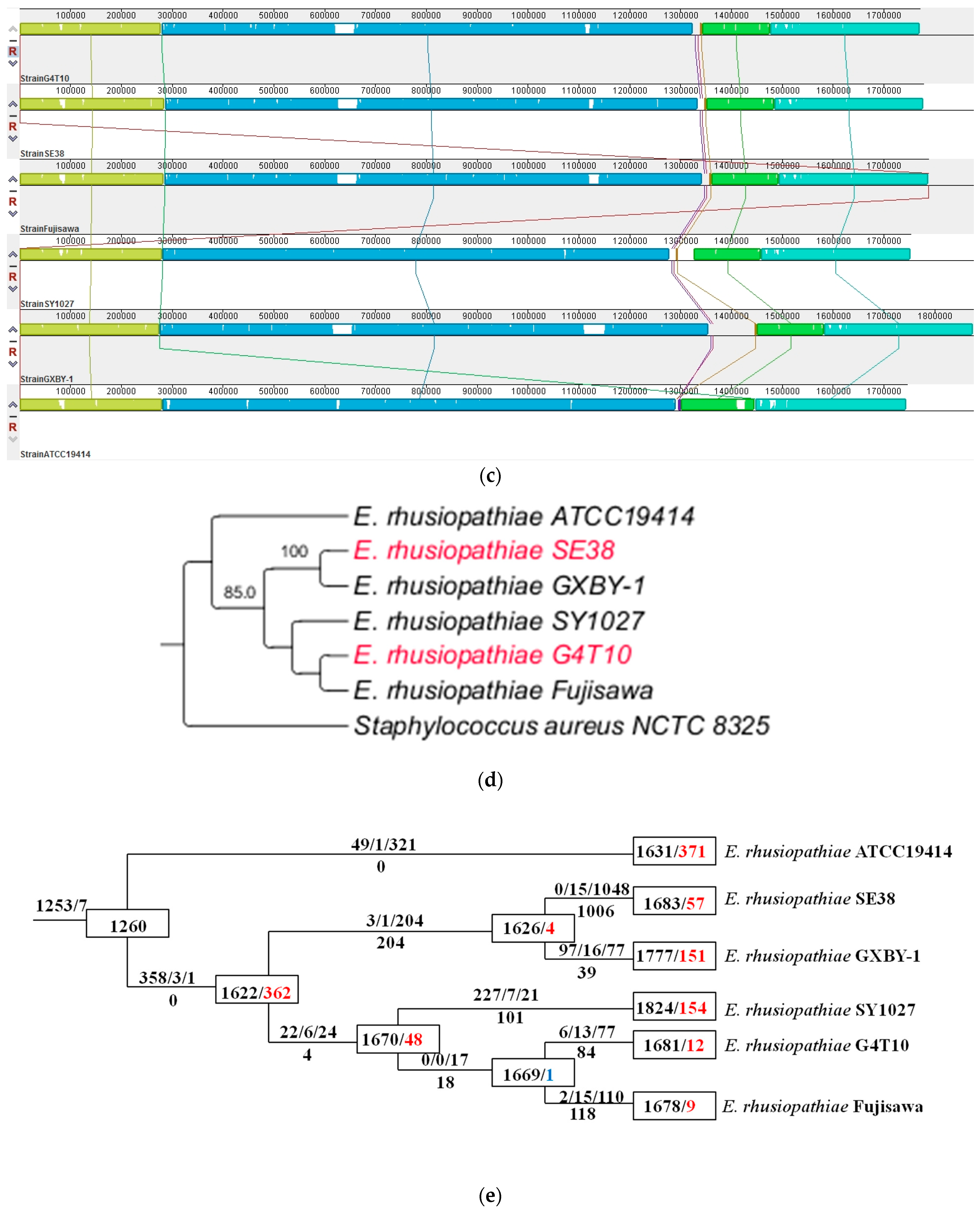 Biology 11 01010 g001b Biology 11 01010 g001b
