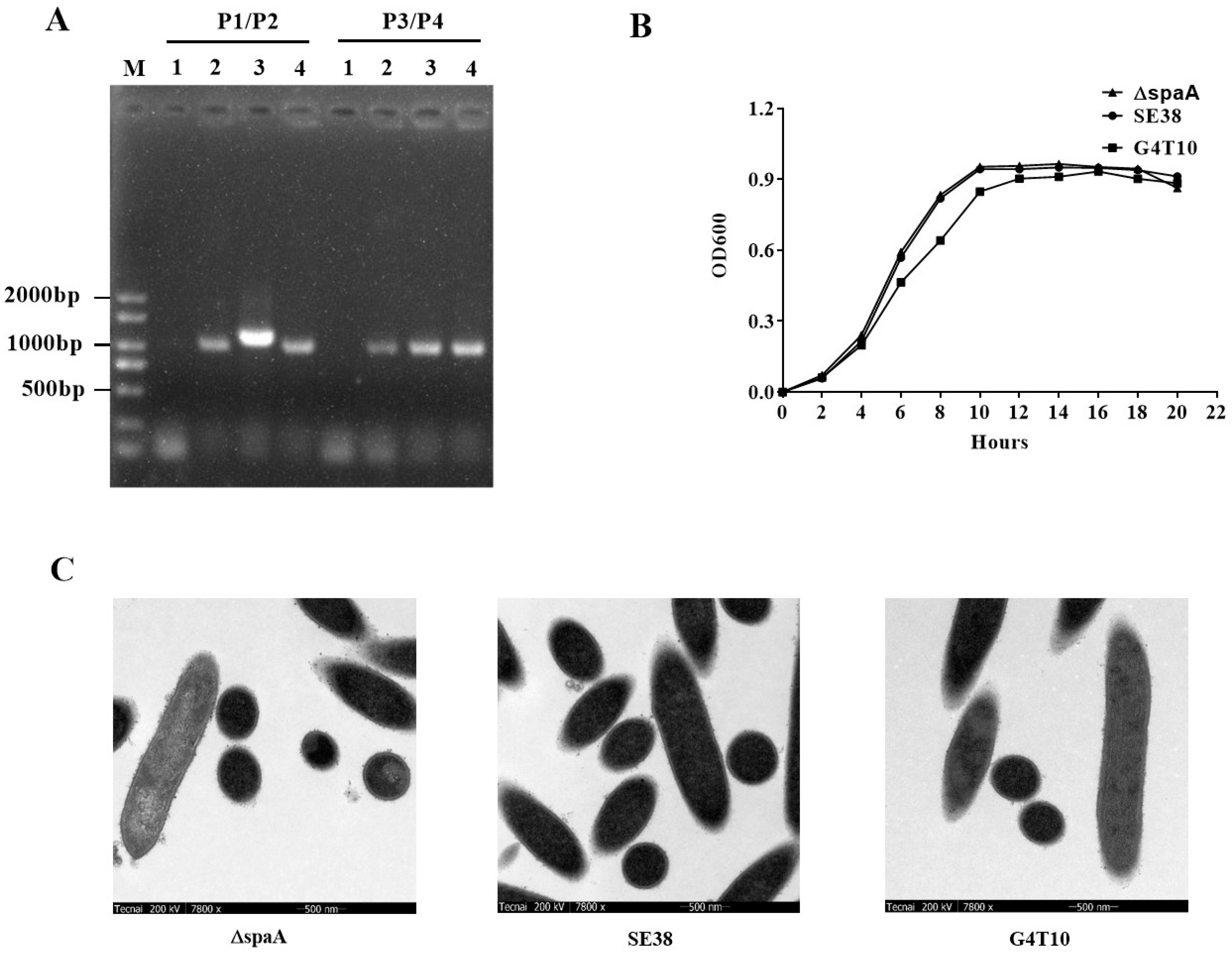 Biology 11 01010 g003 Biology 11 01010 g003