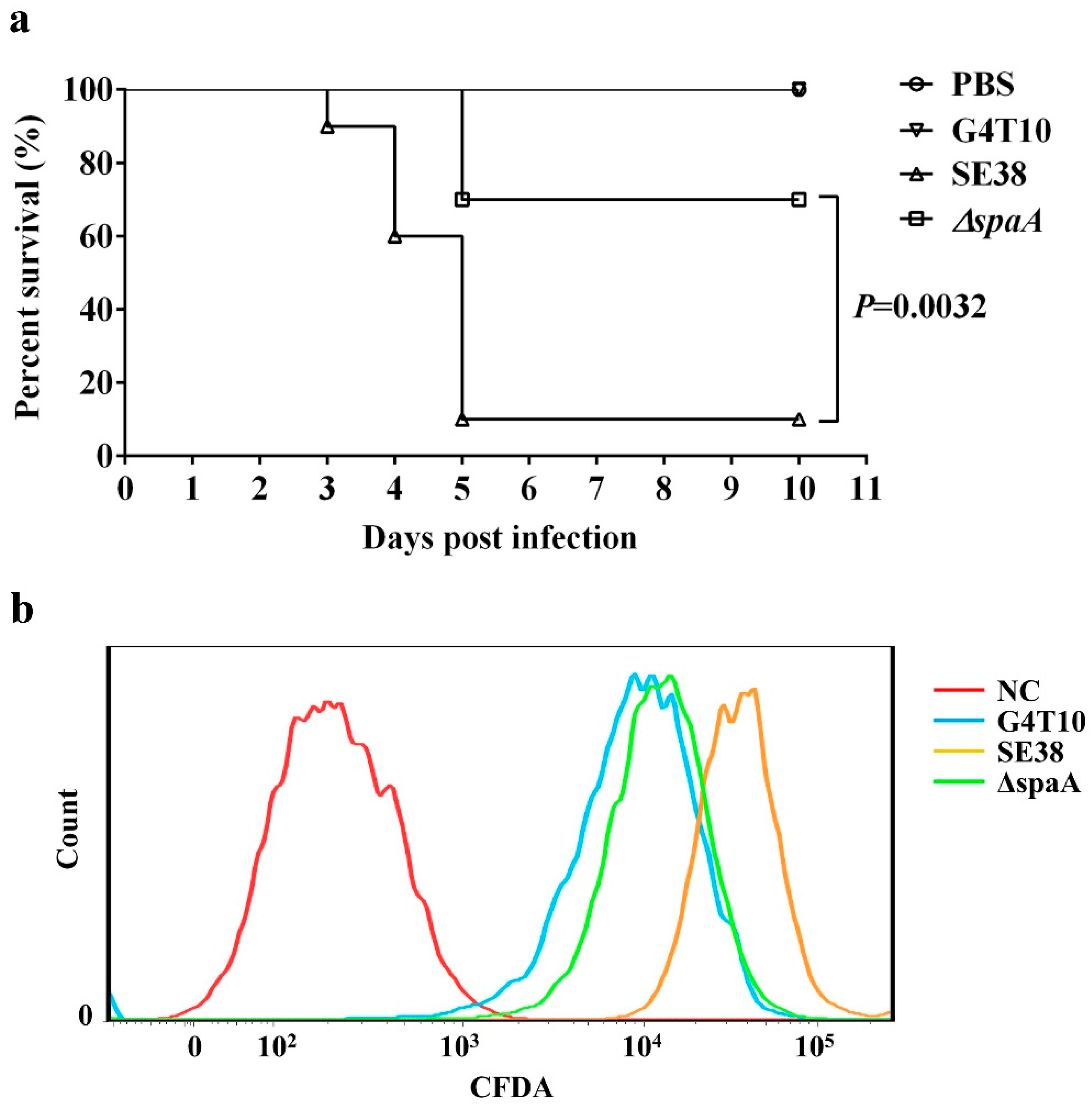 Biology 11 01010 g004 Biology 11 01010 g004