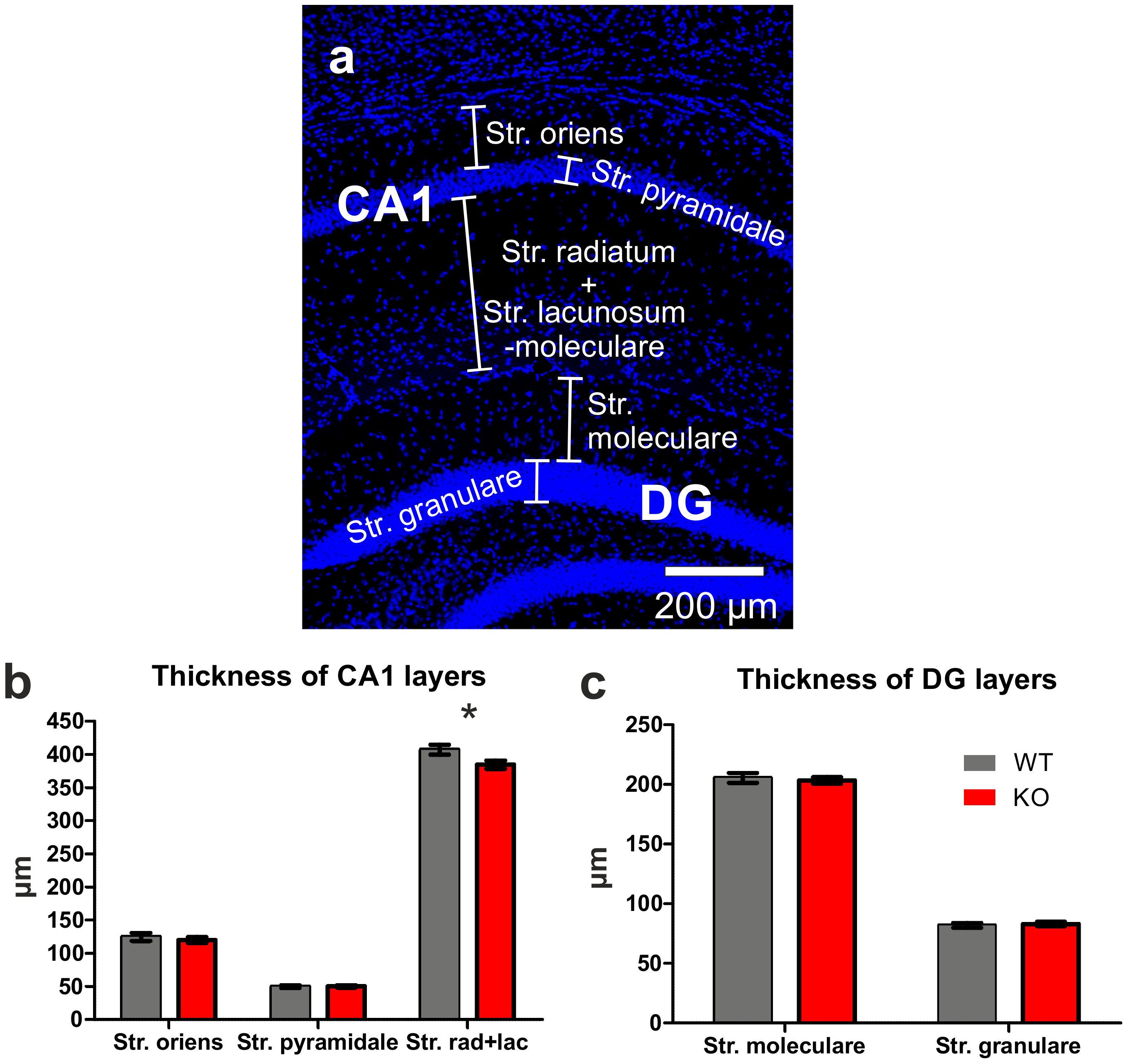 Biology 11 01011 g002