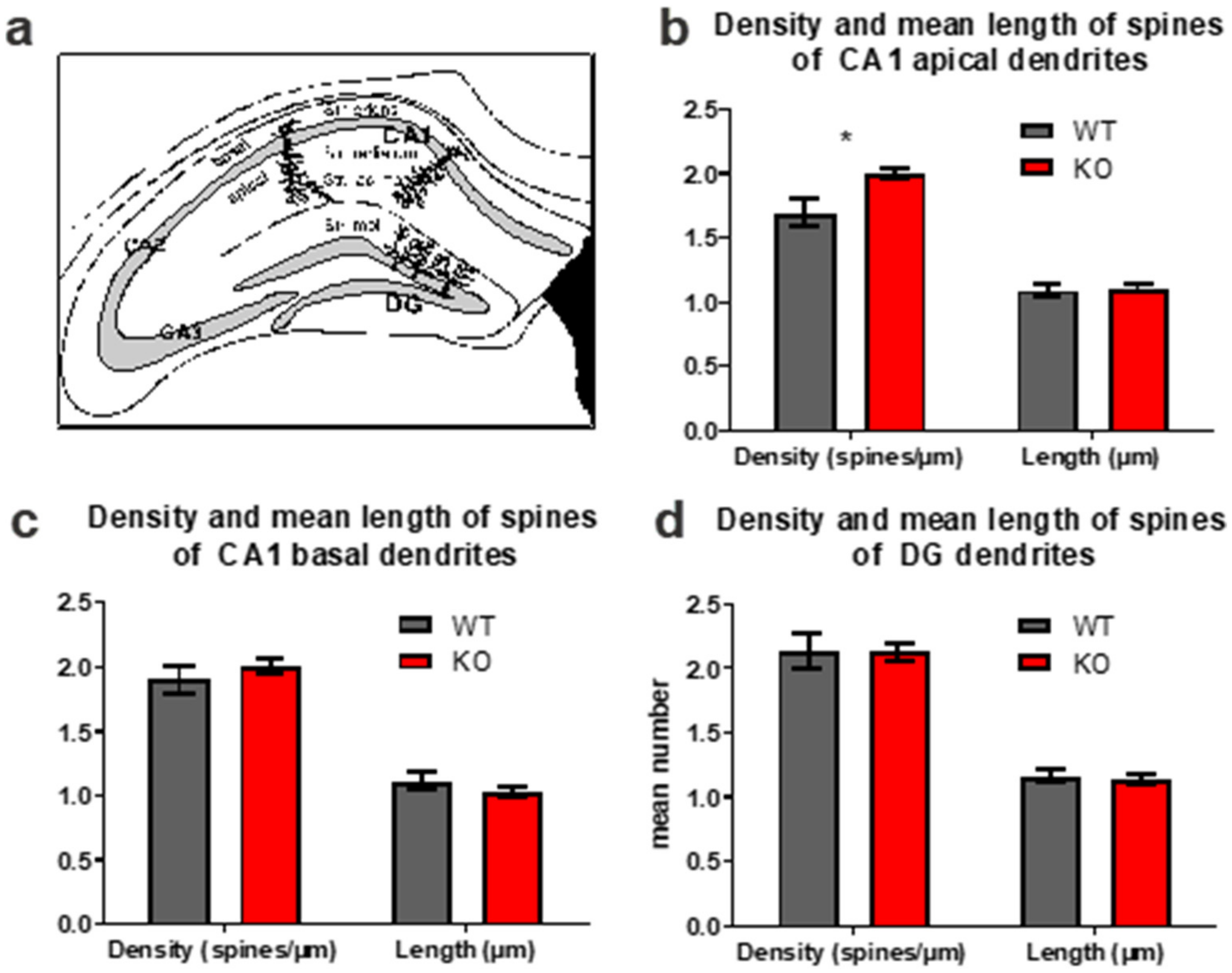 Biology 11 01011 g003