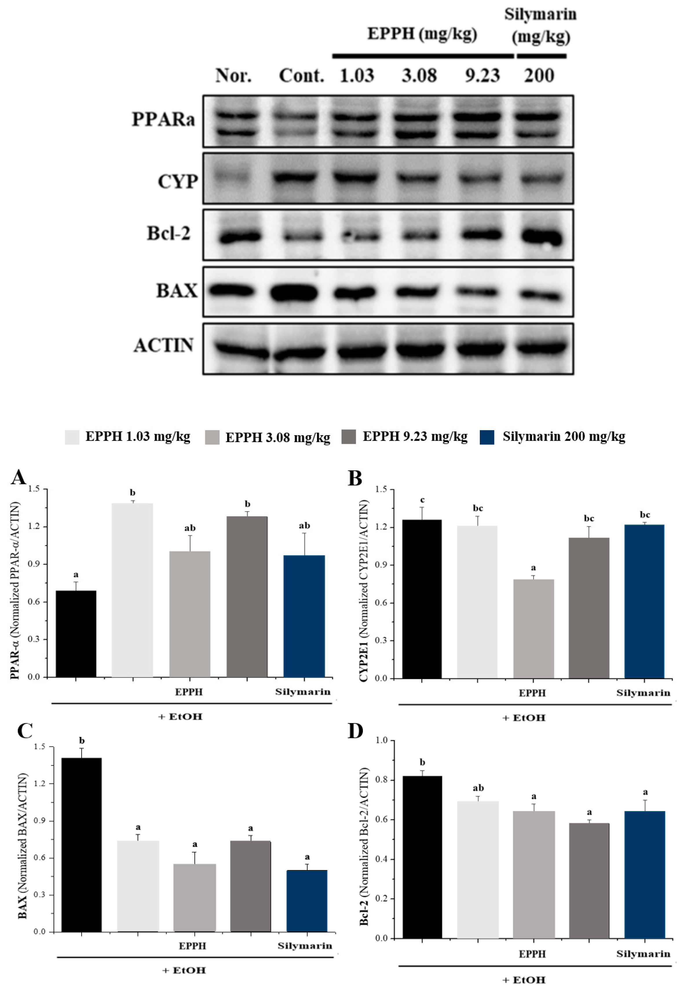 Biology 11 01012 g005 Biology 11 01012 g005