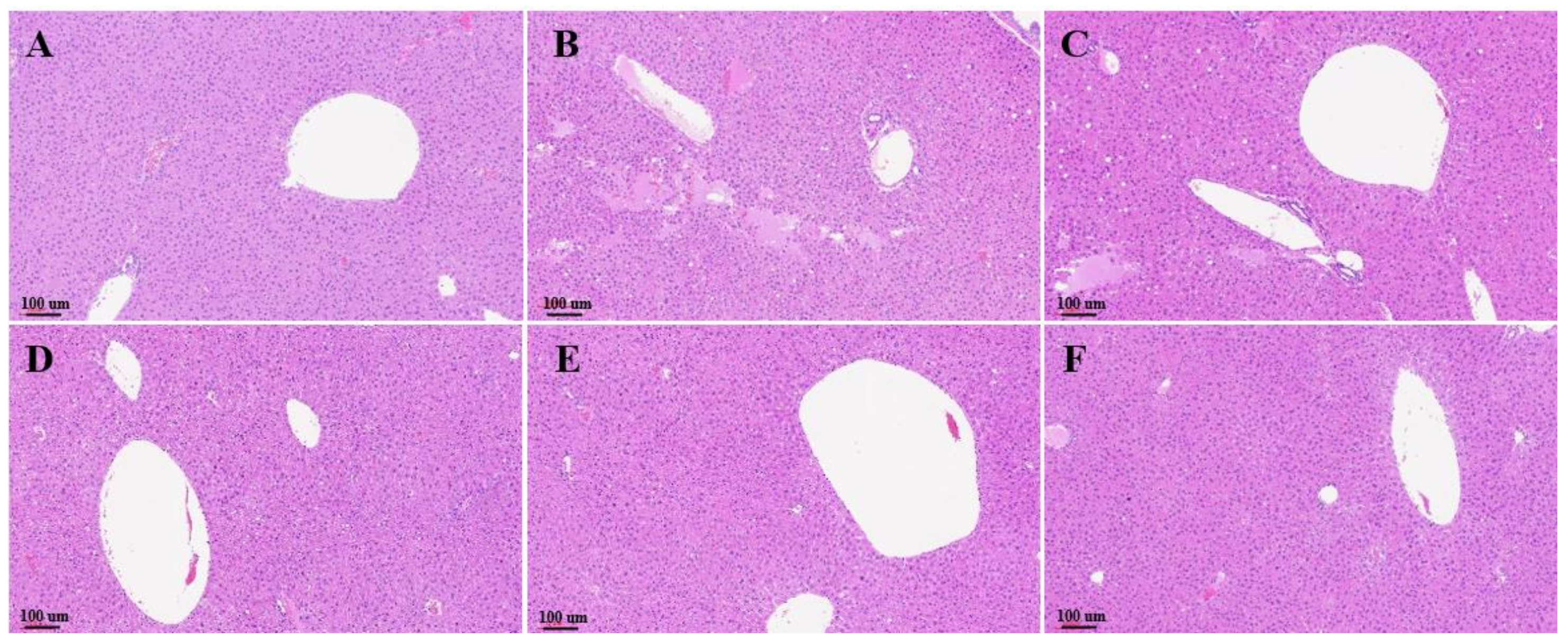 Biology 11 01012 g006 Biology 11 01012 g006