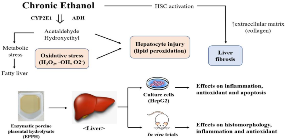 Biology 11 01012 i001 Biology 11 01012 i001